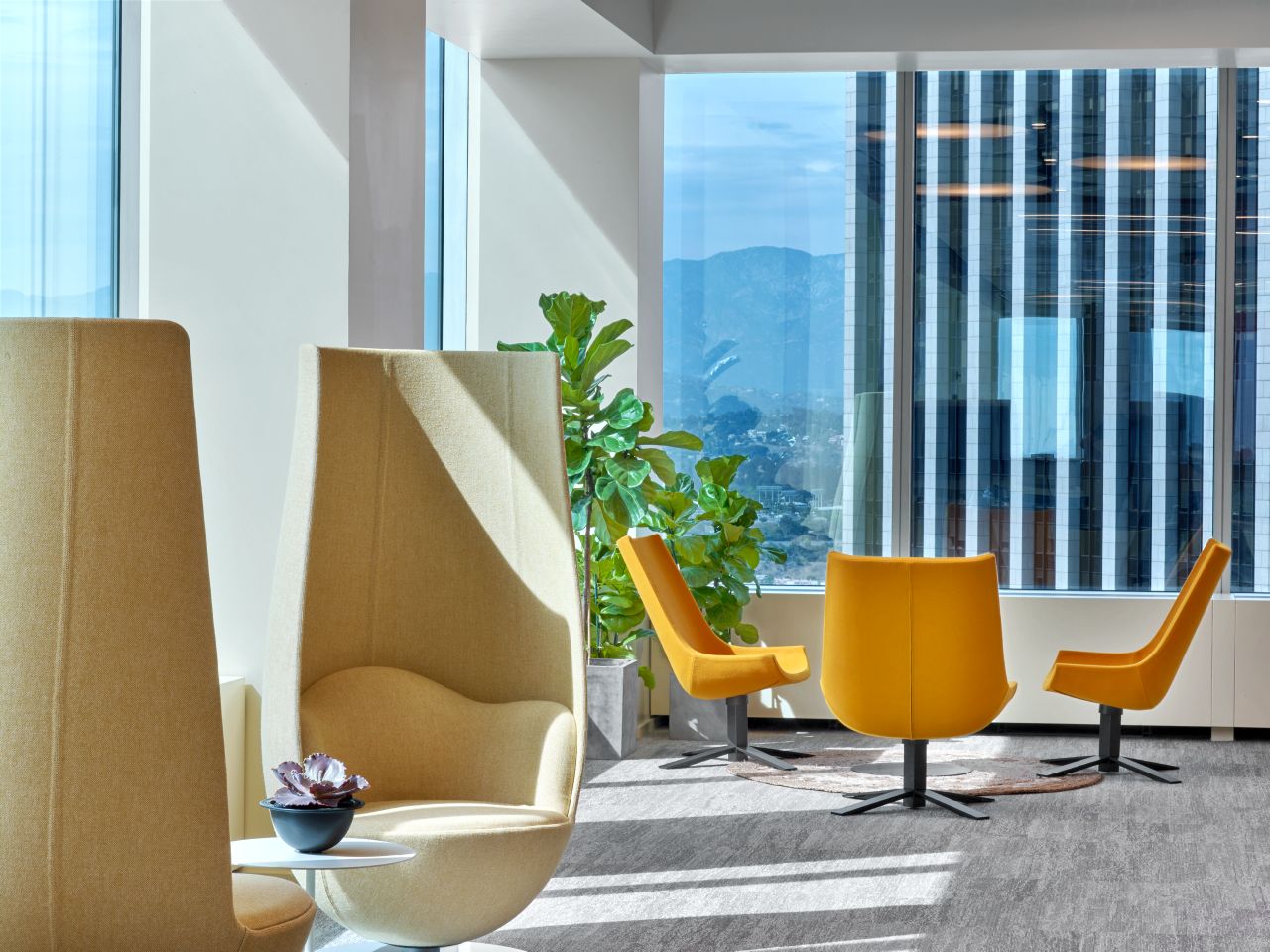 开云（中国） - 坐具|休闲椅|办公家具|设计师家具|郁金香