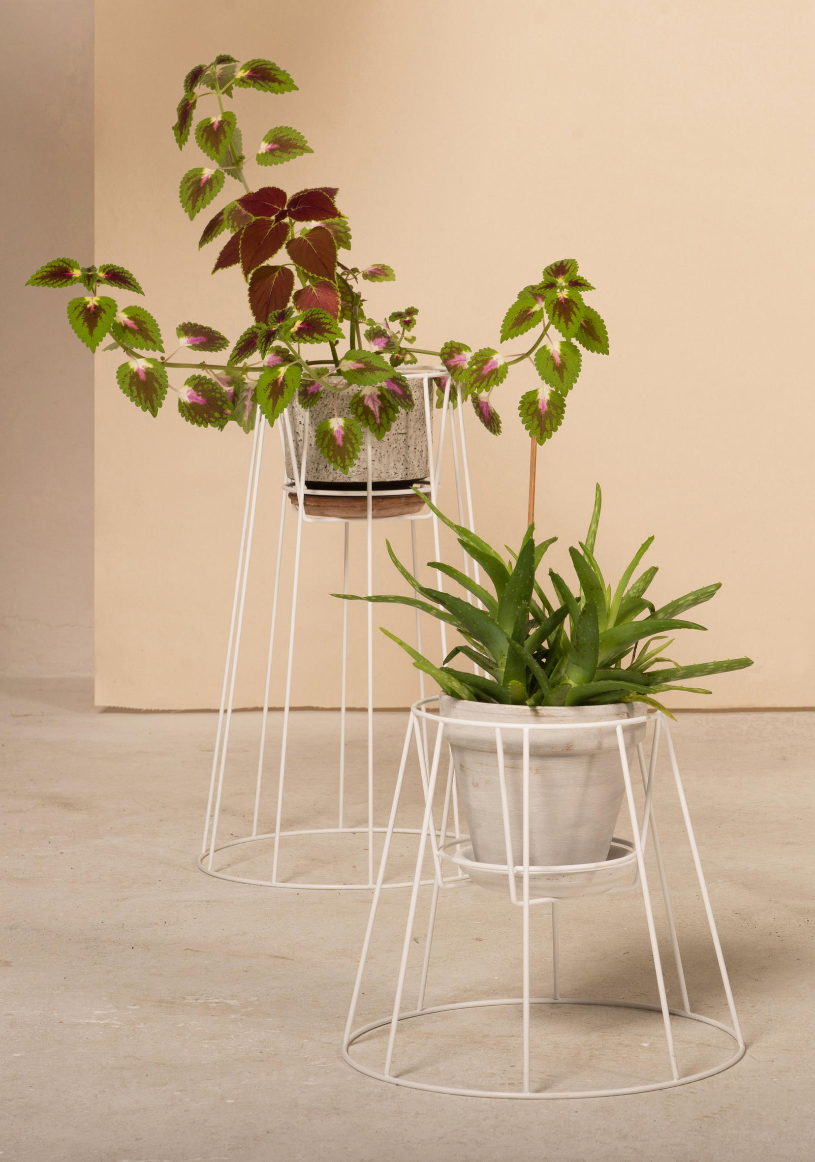 开云（中国） - 附件|花器|办公家具|设计师家具|西布莉植物架