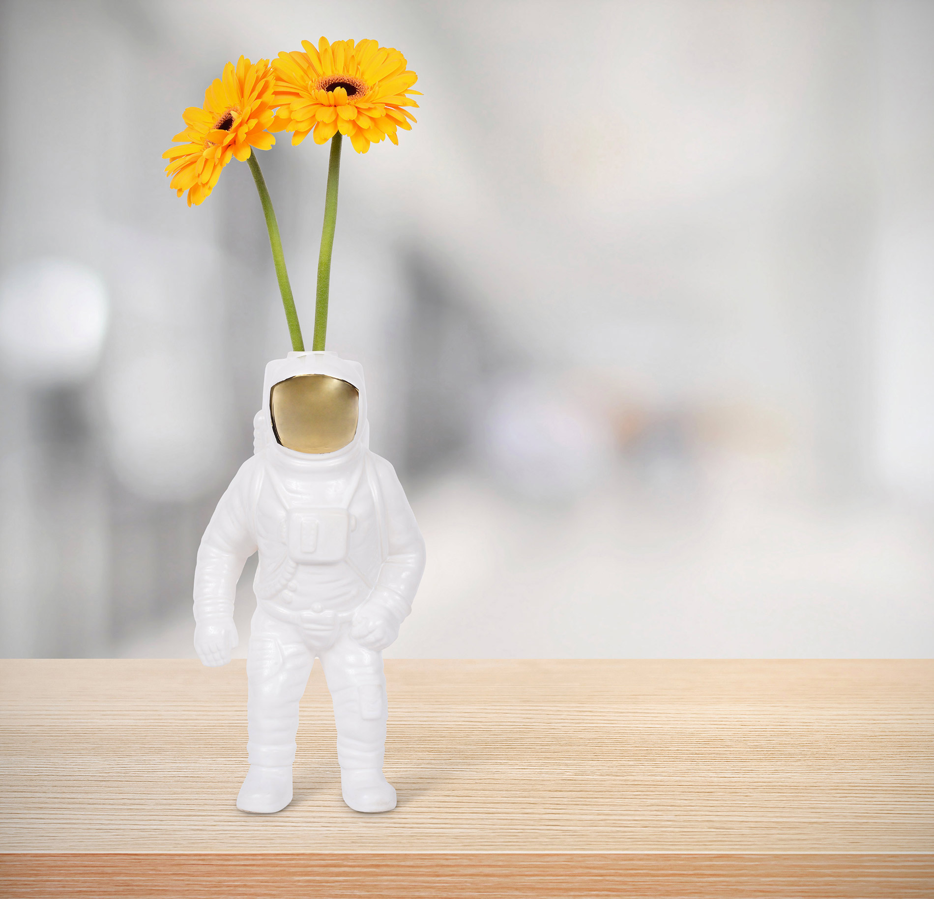 开云（中国） - 附件|花器|办公家具|设计师家具|宇航员花瓶