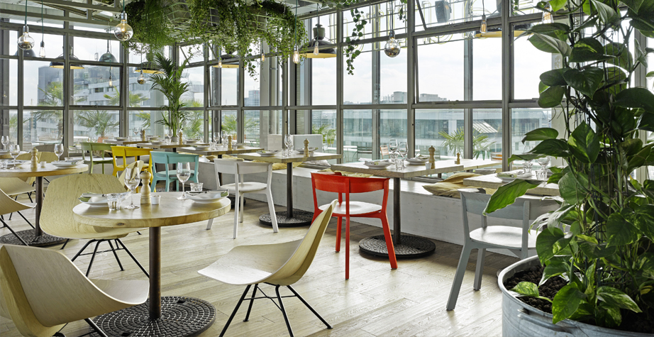 开云（中国） - 坐具|餐椅|办公家具|设计师家具|木制比基尼餐椅