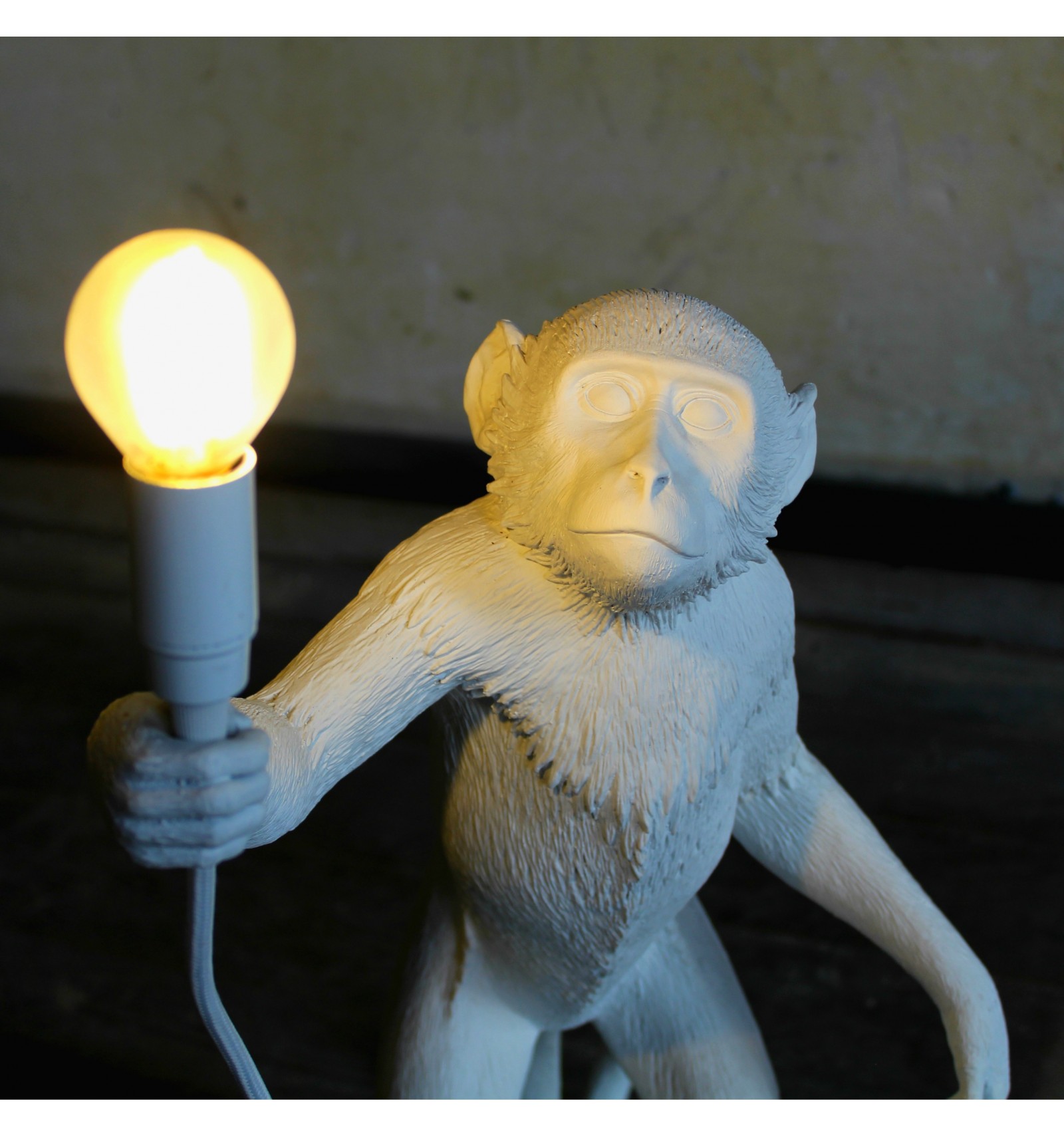 开云（中国） - 灯饰|台灯|办公家具|设计师家具|猴子灯