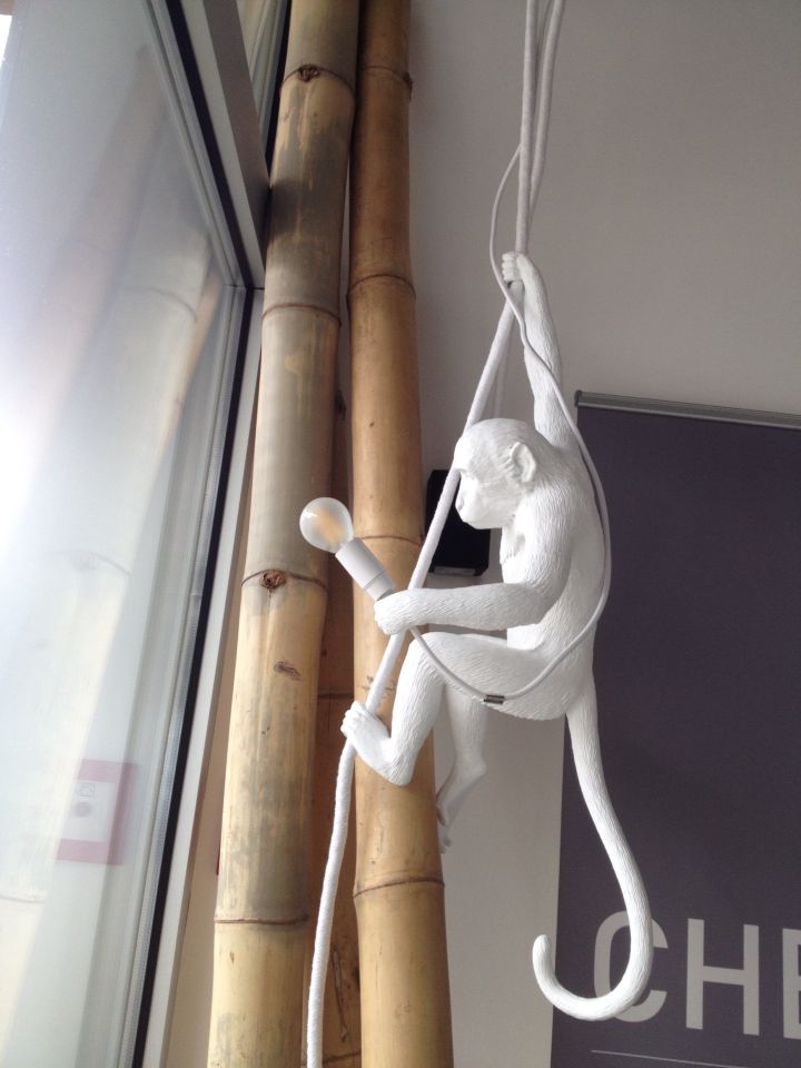 开云（中国） - 灯饰|吊灯|办公家具|设计师家具|猴子灯