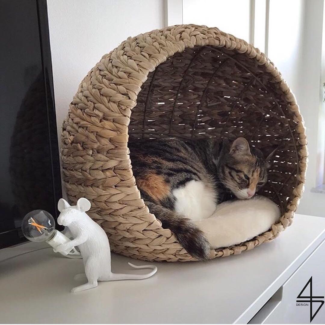 开云（中国） - 灯饰|台灯|办公家具|设计师家具|鼠灯