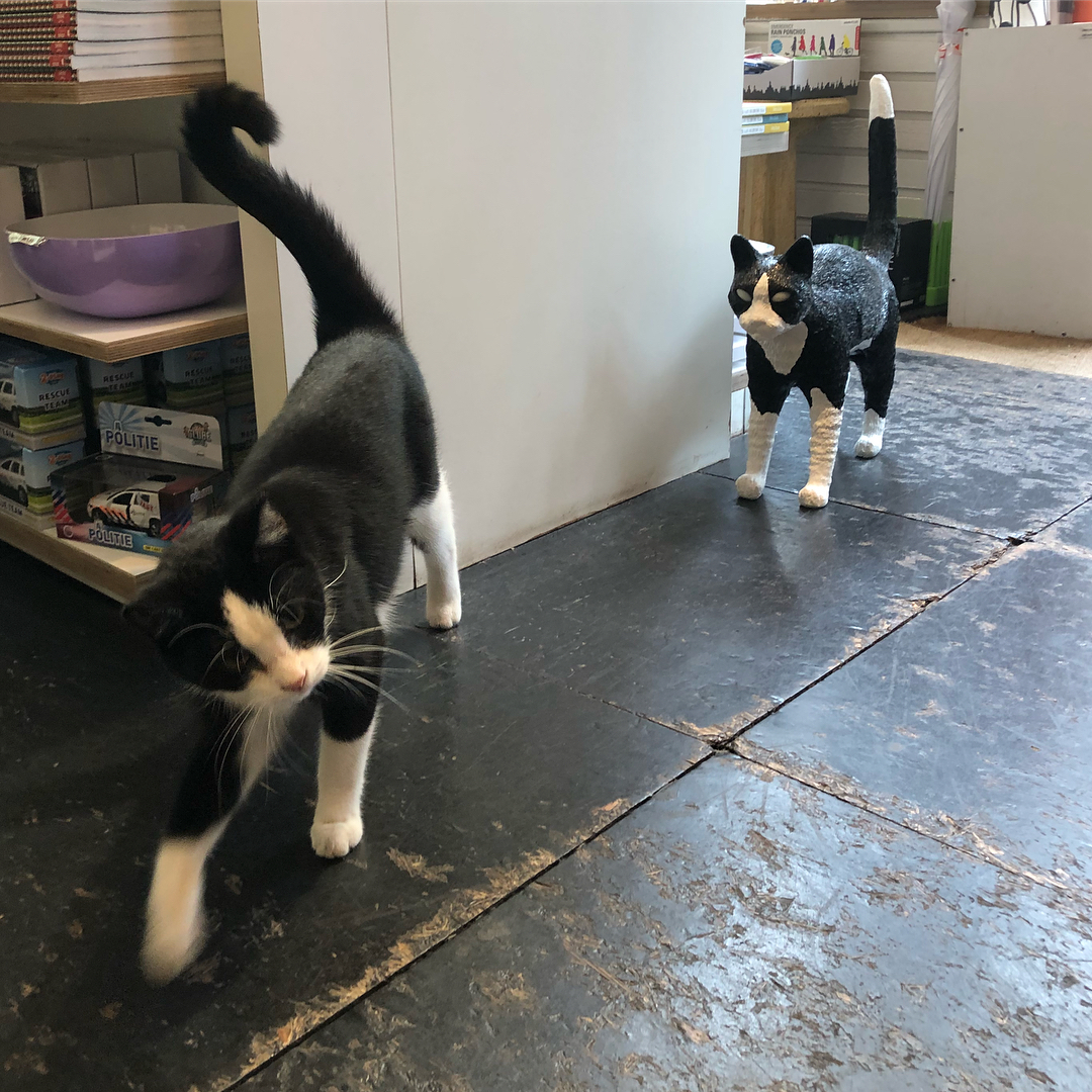 开云（中国） - 灯饰|台灯|办公家具|设计师家具|猫灯