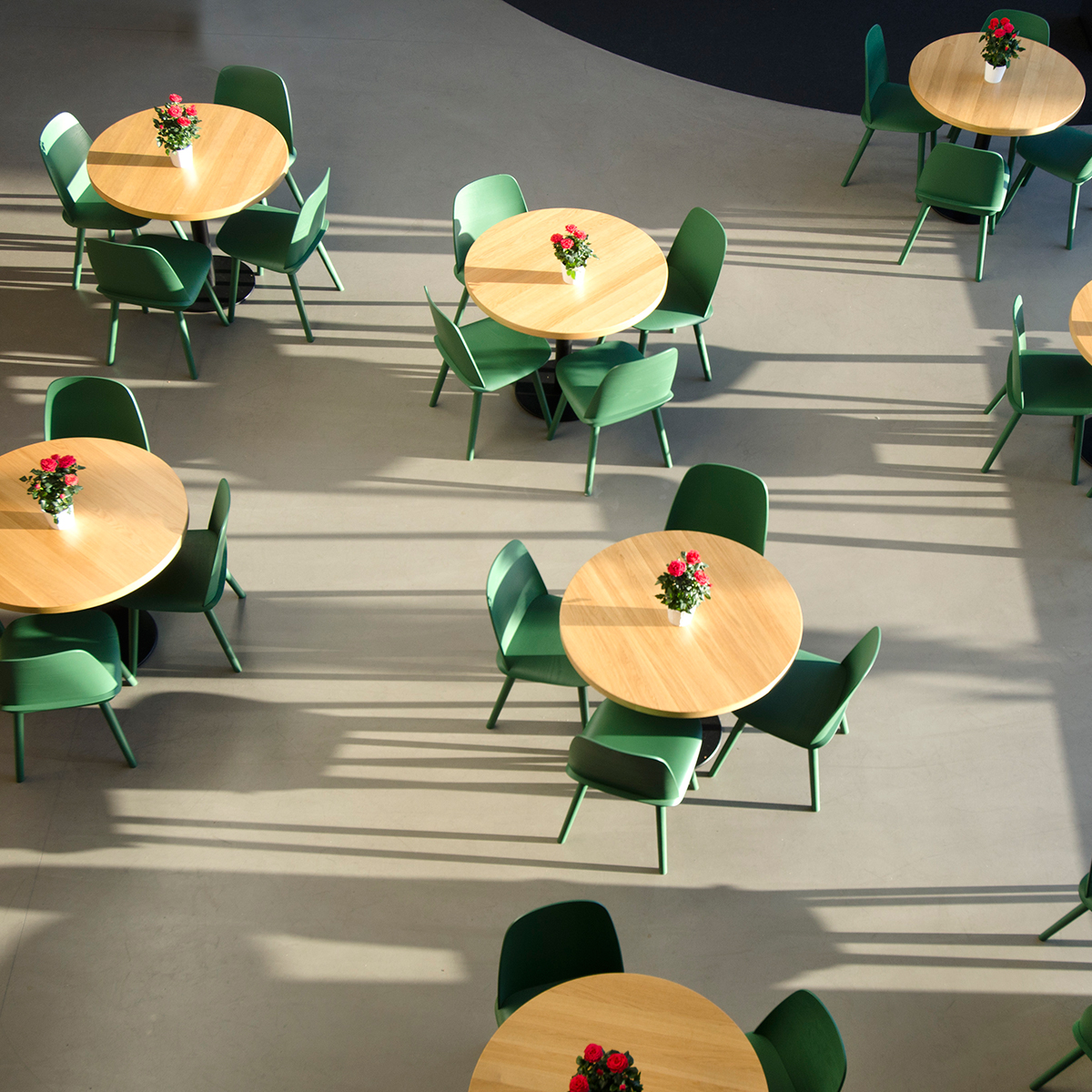 开云（中国） - 坐具|餐椅|办公家具|设计师家具|怪才椅