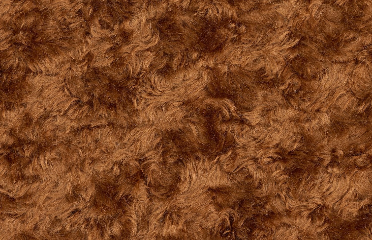 开云（中国） - 坐具|休闲椅|办公家具|设计师家具|Uni休闲椅