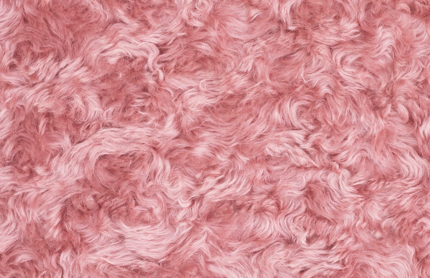 开云（中国） - 坐具|休闲椅|办公家具|设计师家具|Uni休闲椅