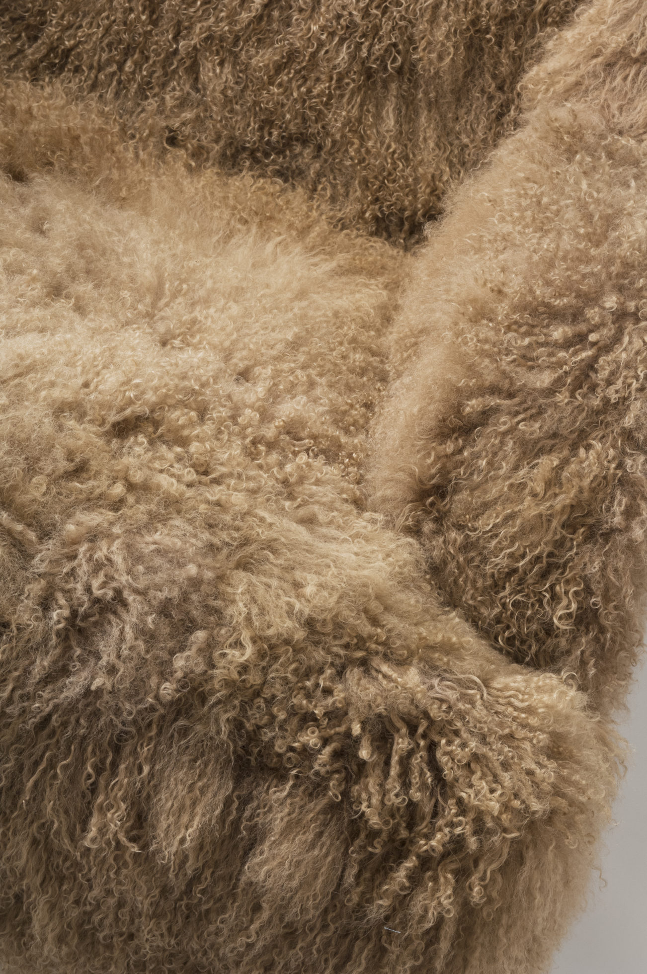 开云（中国） - 坐具|休闲椅|办公家具|设计师家具|mammoth wing 椅子