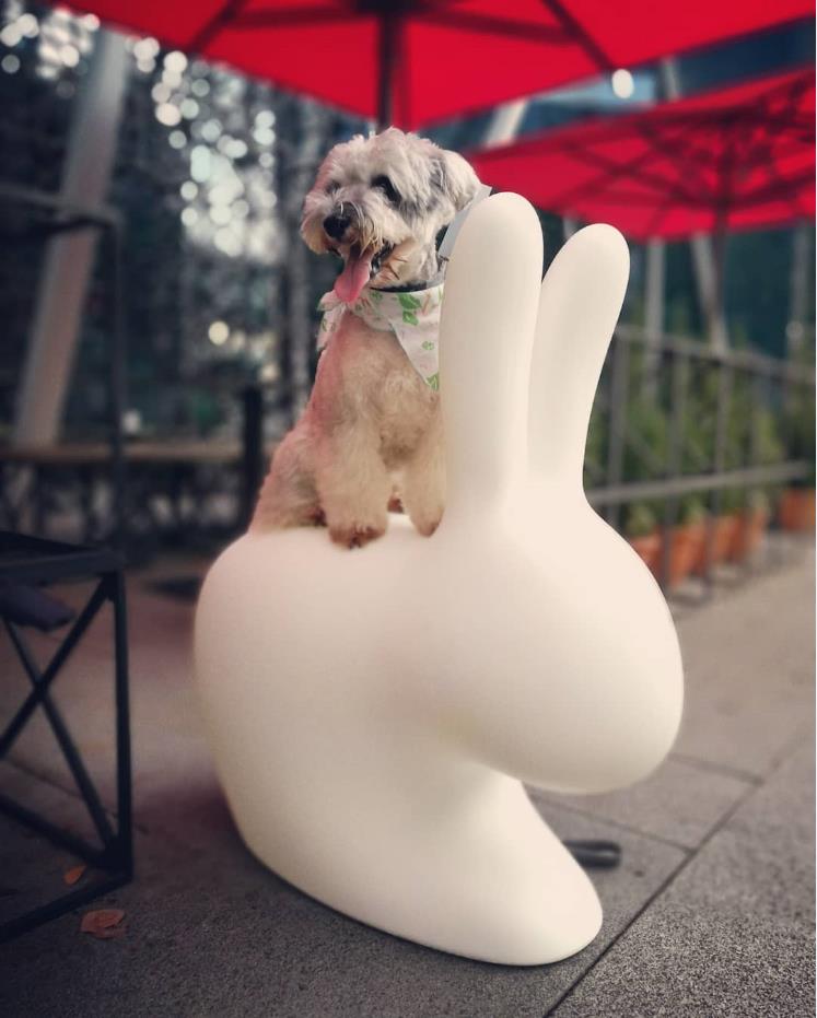 开云（中国） - 坐具|吧椅/凳子|办公家具|设计师家具|兔凳