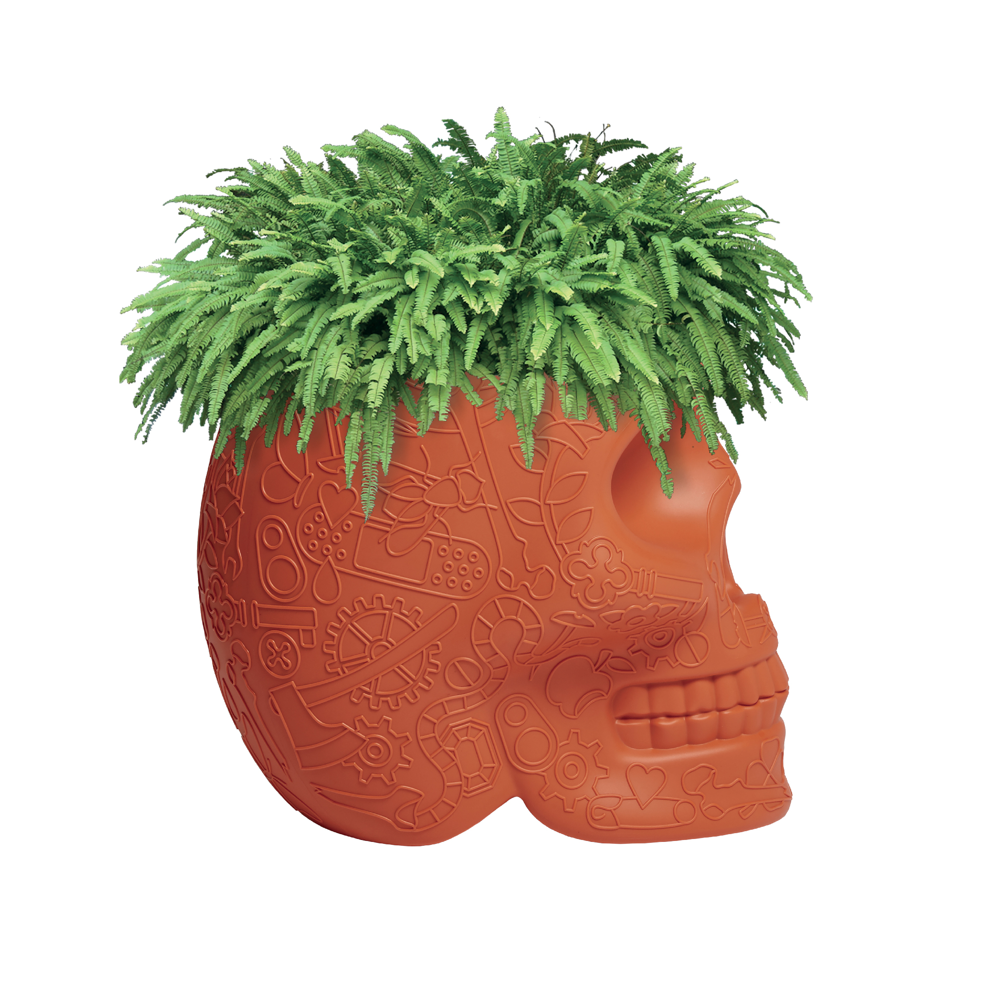 开云（中国） - 附件|花器|办公家具|设计师家具|墨西哥花盆