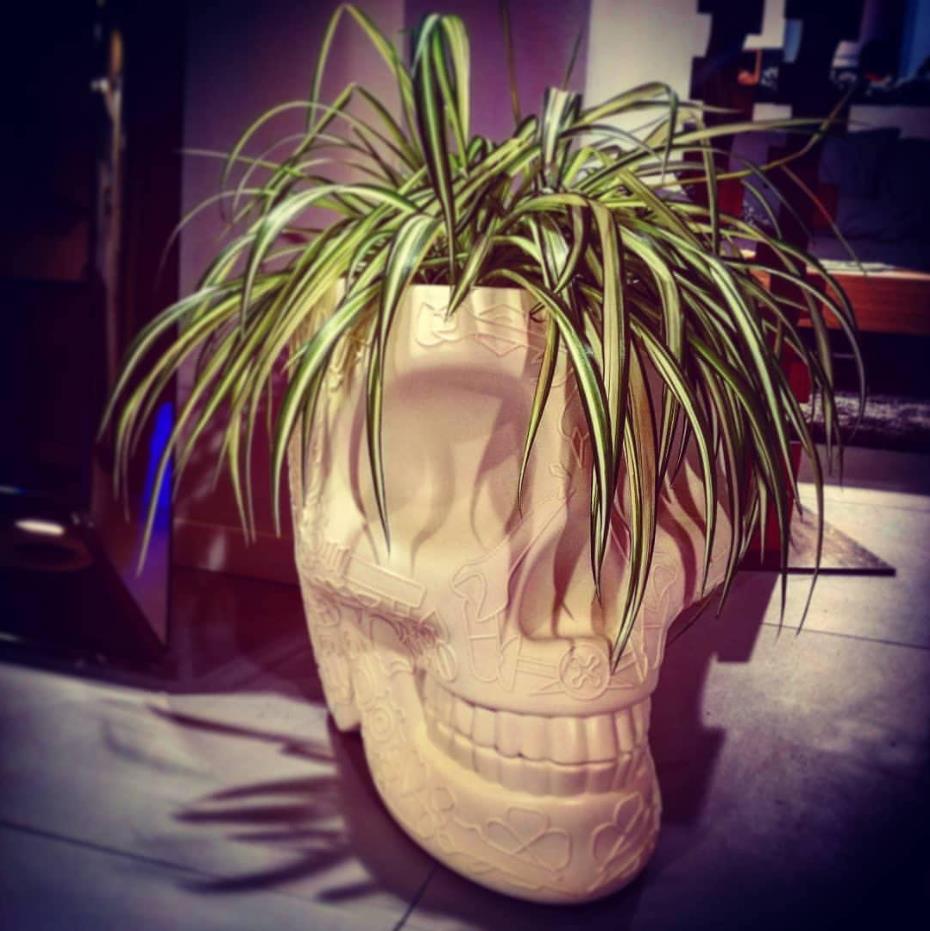 开云（中国） - 附件|花器|办公家具|设计师家具|墨西哥花盆