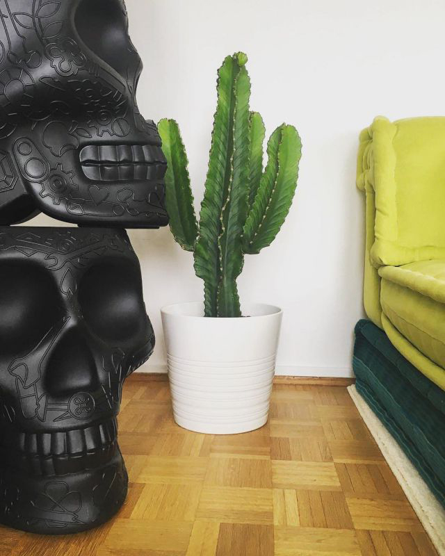 开云（中国） - 坐具|吧椅/凳子|办公家具|设计师家具|墨西哥矮凳