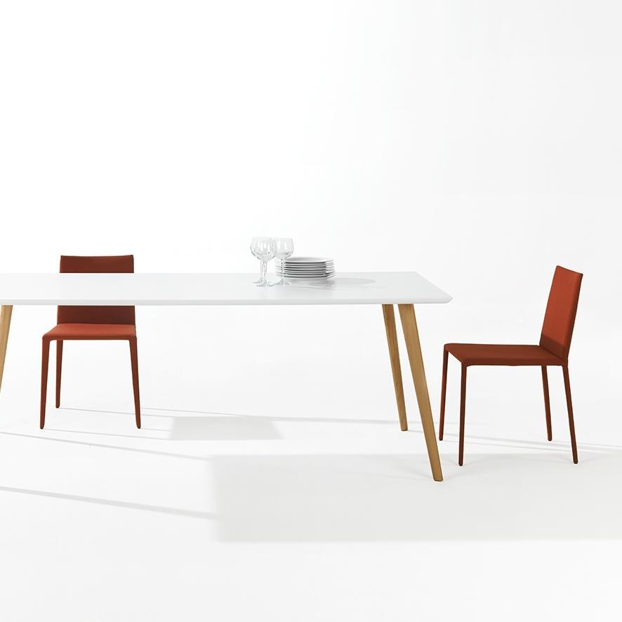 开云（中国） - 坐具|餐椅|办公家具|设计师家具|Norma 餐椅/洽谈椅