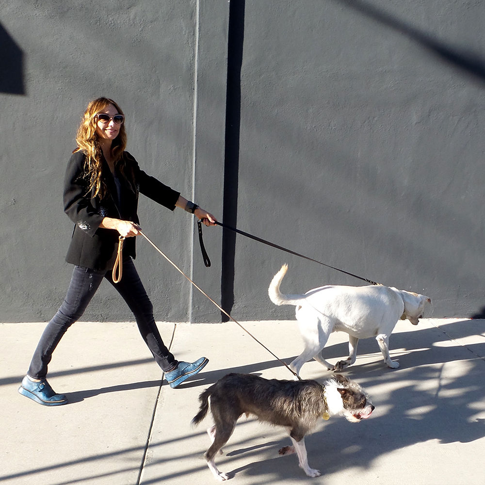 开云（中国） - 附件|饰品|办公家具|设计师家具|Liaison狗绳