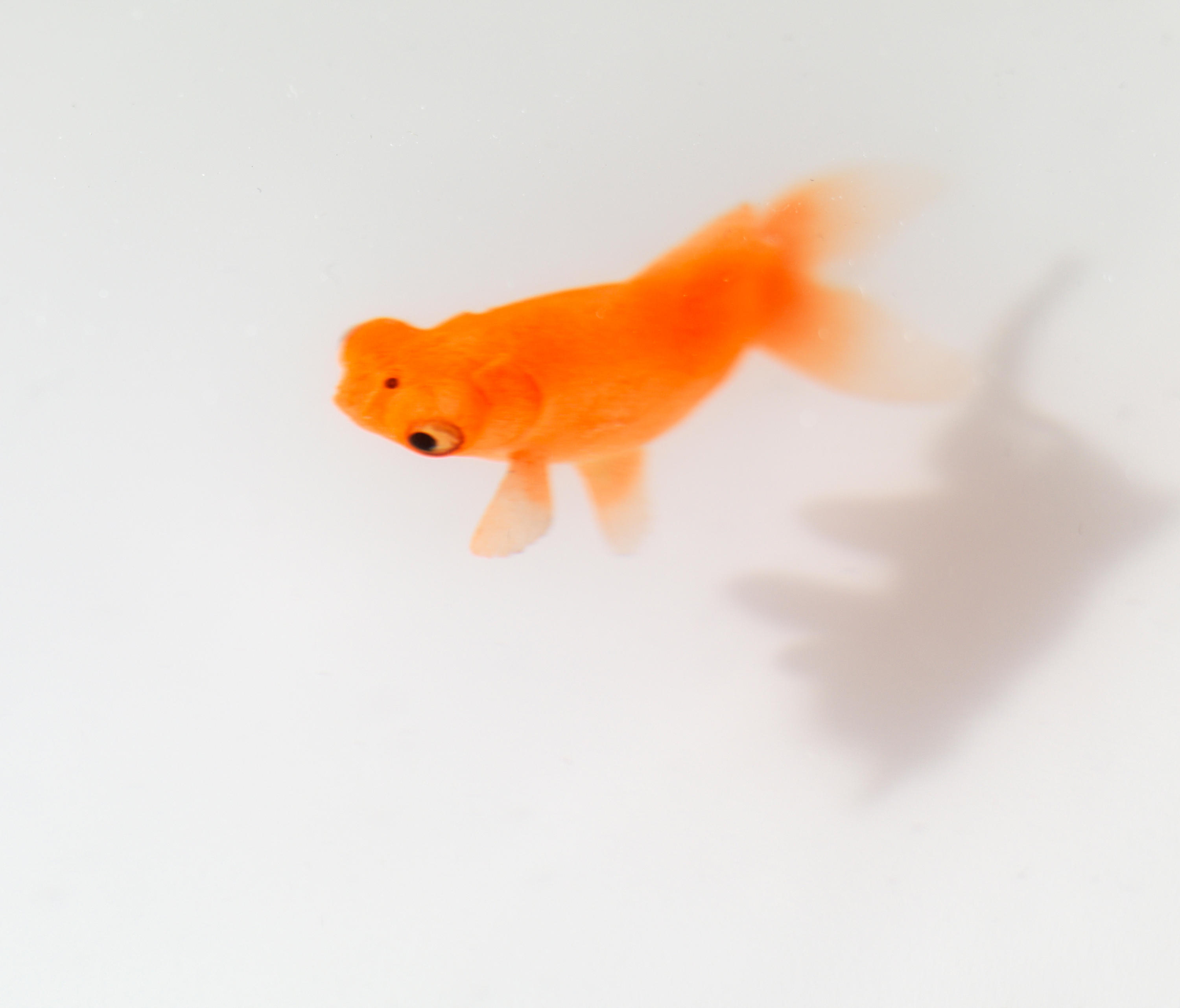 开云（中国） - 桌几|茶几/边几|办公家具|设计师家具|Up in the Air 茶几/角几