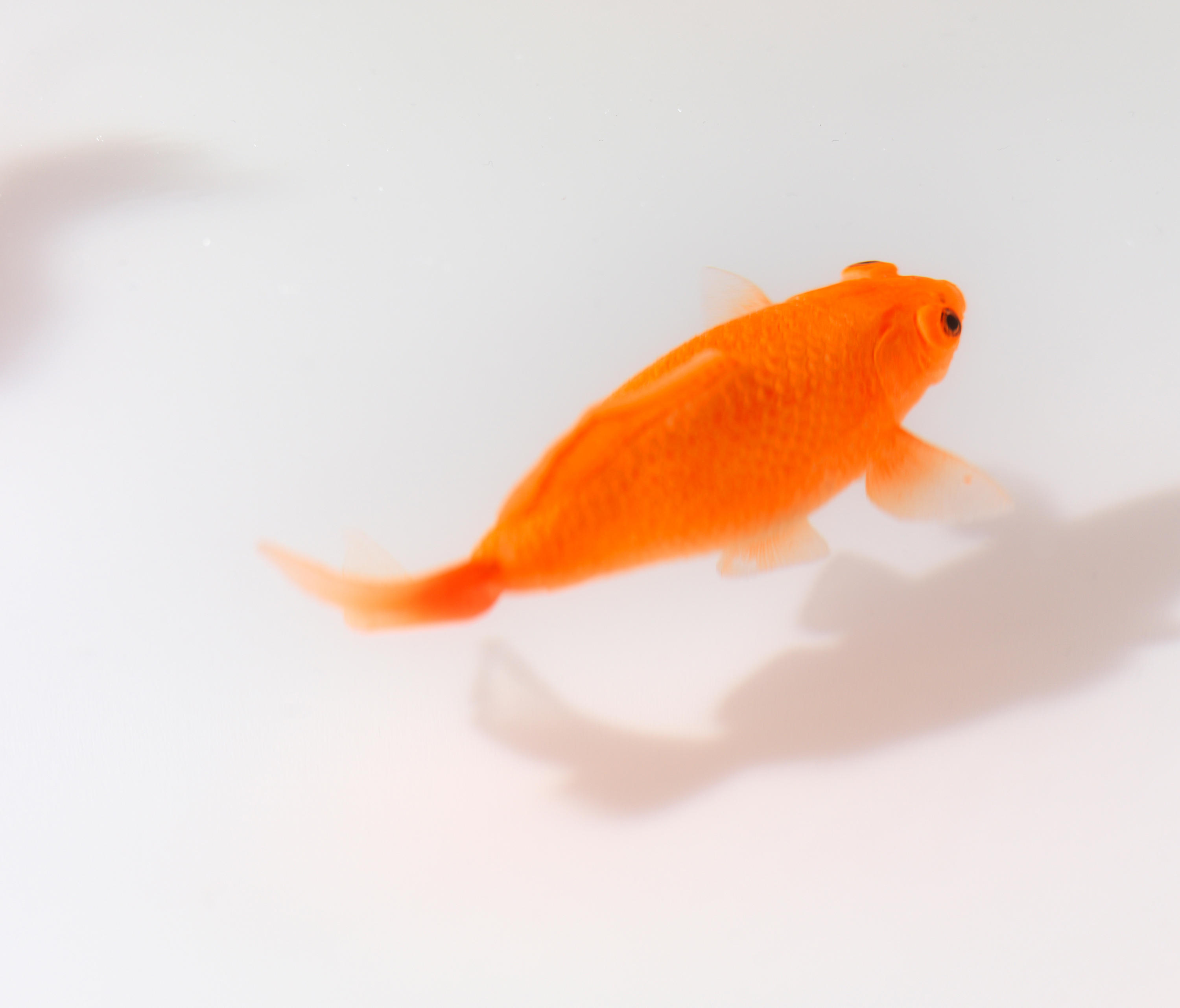 开云（中国） - 桌几|茶几/边几|办公家具|设计师家具|Up in the Air 茶几/角几