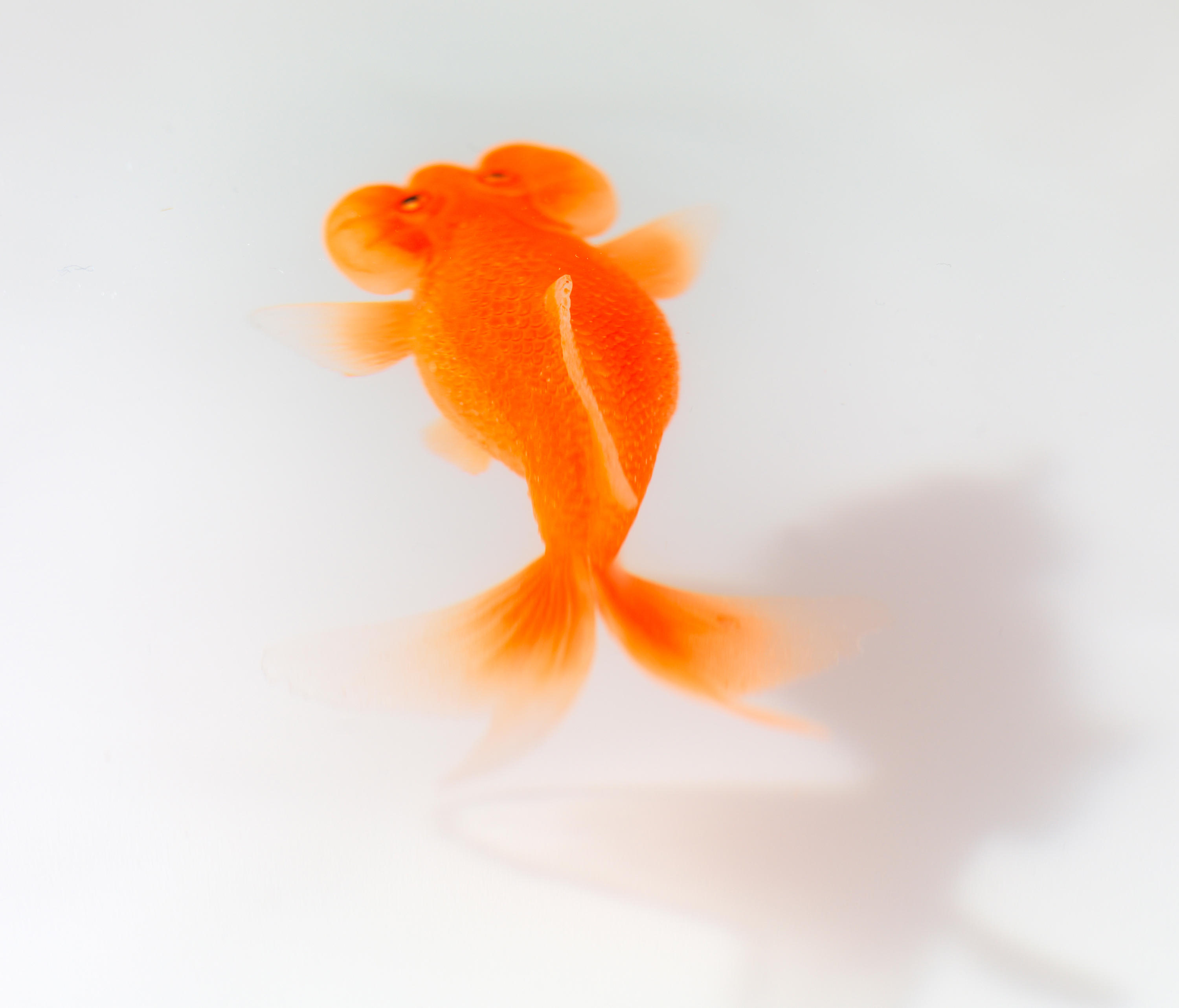 开云（中国） - 桌几|茶几/边几|办公家具|设计师家具|Up in the Air 茶几/角几