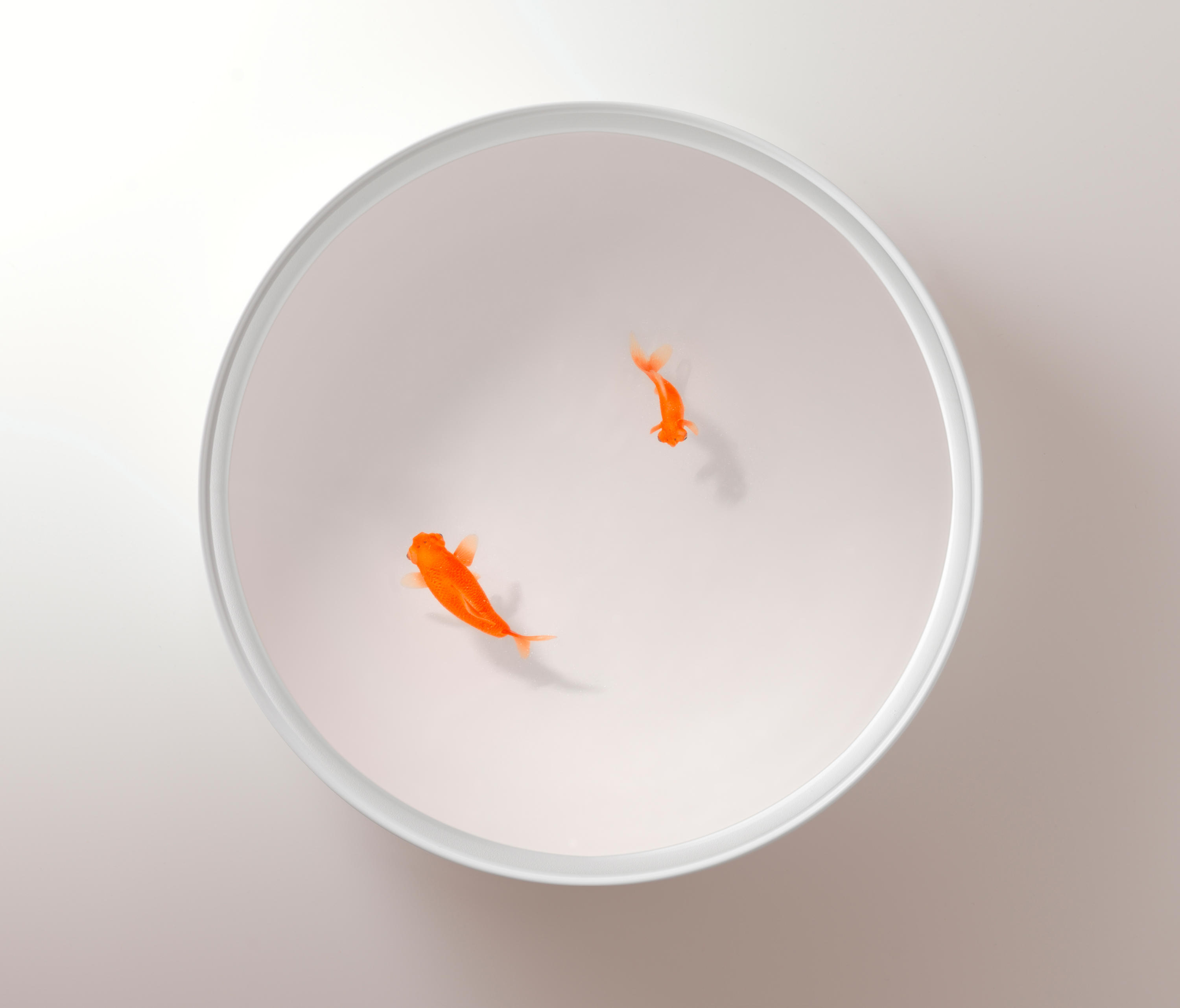 开云（中国） - 桌几|茶几/边几|办公家具|设计师家具|Up in the Air 茶几/角几