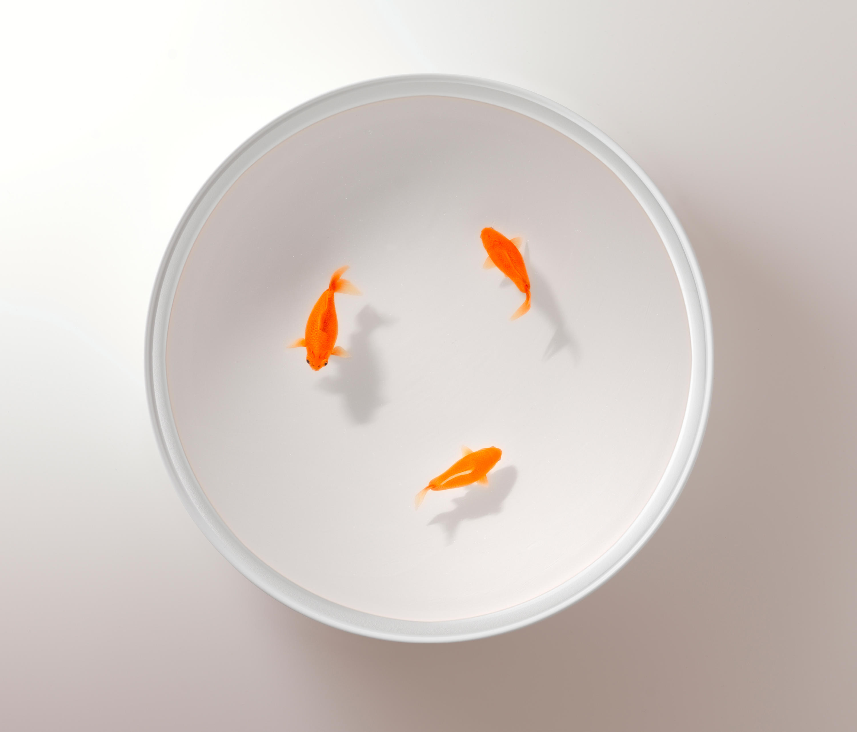 开云（中国） - 桌几|茶几/边几|办公家具|设计师家具|Up in the Air 茶几/角几