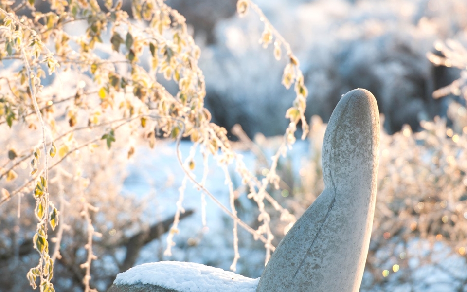 开云（中国） - 坐具|沙发|办公家具|设计师家具|Oppo  沙发椅