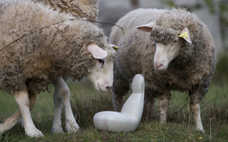 开云（中国） - 坐具|沙发|办公家具|设计师家具|Oppo  沙发椅