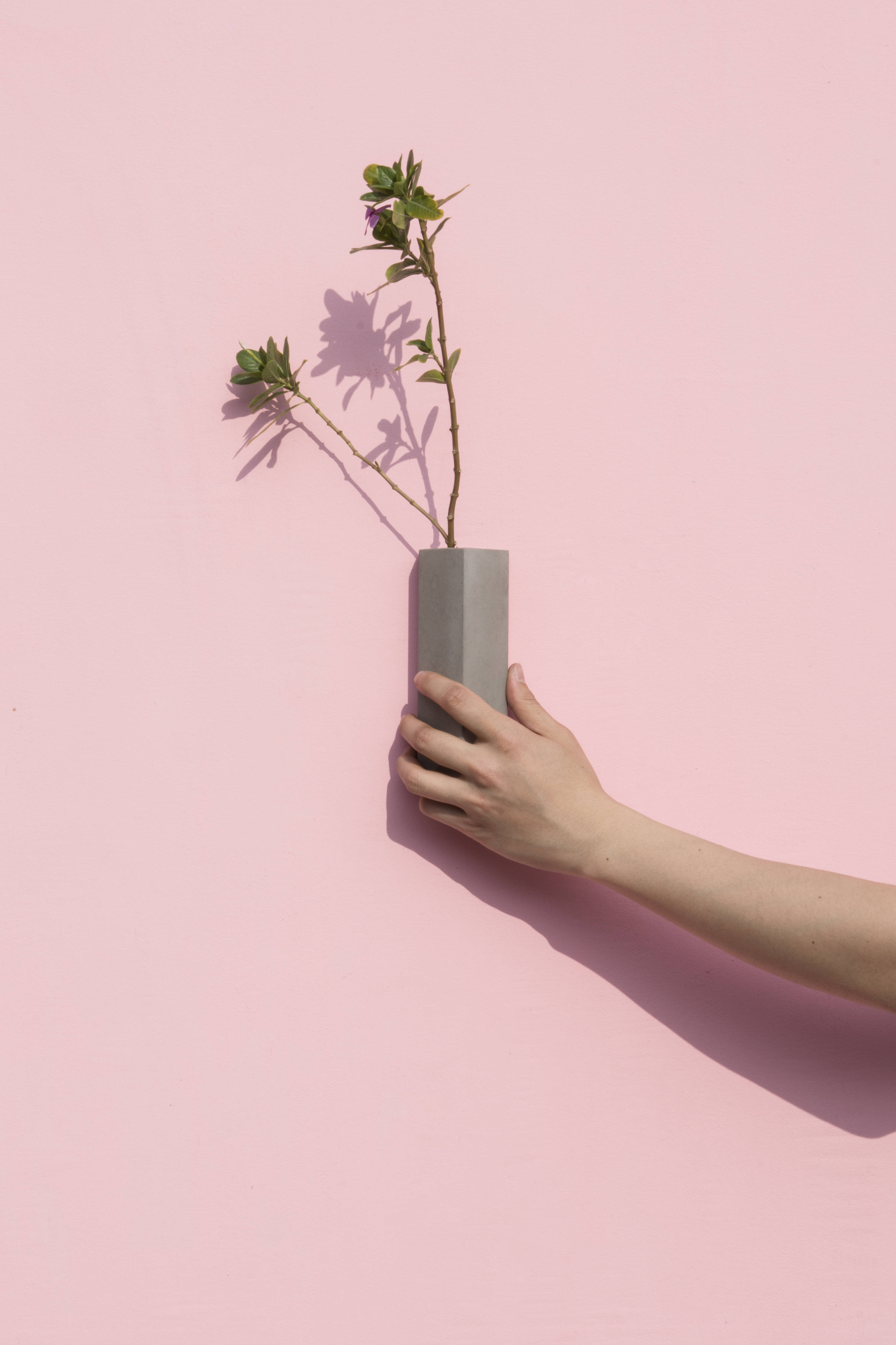 开云（中国） - 附件|装饰画/墙饰|办公家具|设计师家具|墙面装饰花插-息