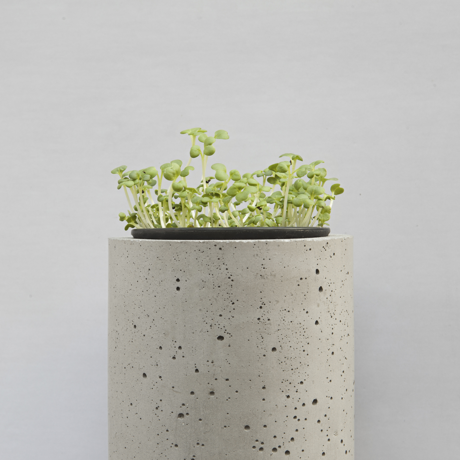 开云（中国） - 附件|花器|办公家具|设计师家具|挂墙式花钵-杯