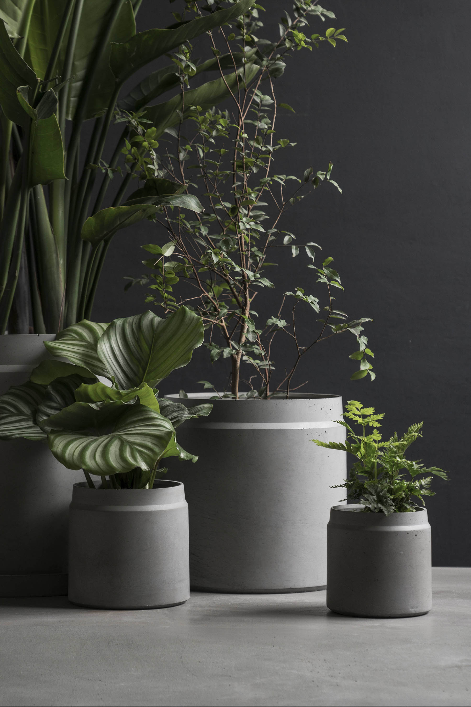 开云（中国） - 附件|花器|办公家具|设计师家具|花钵-圆