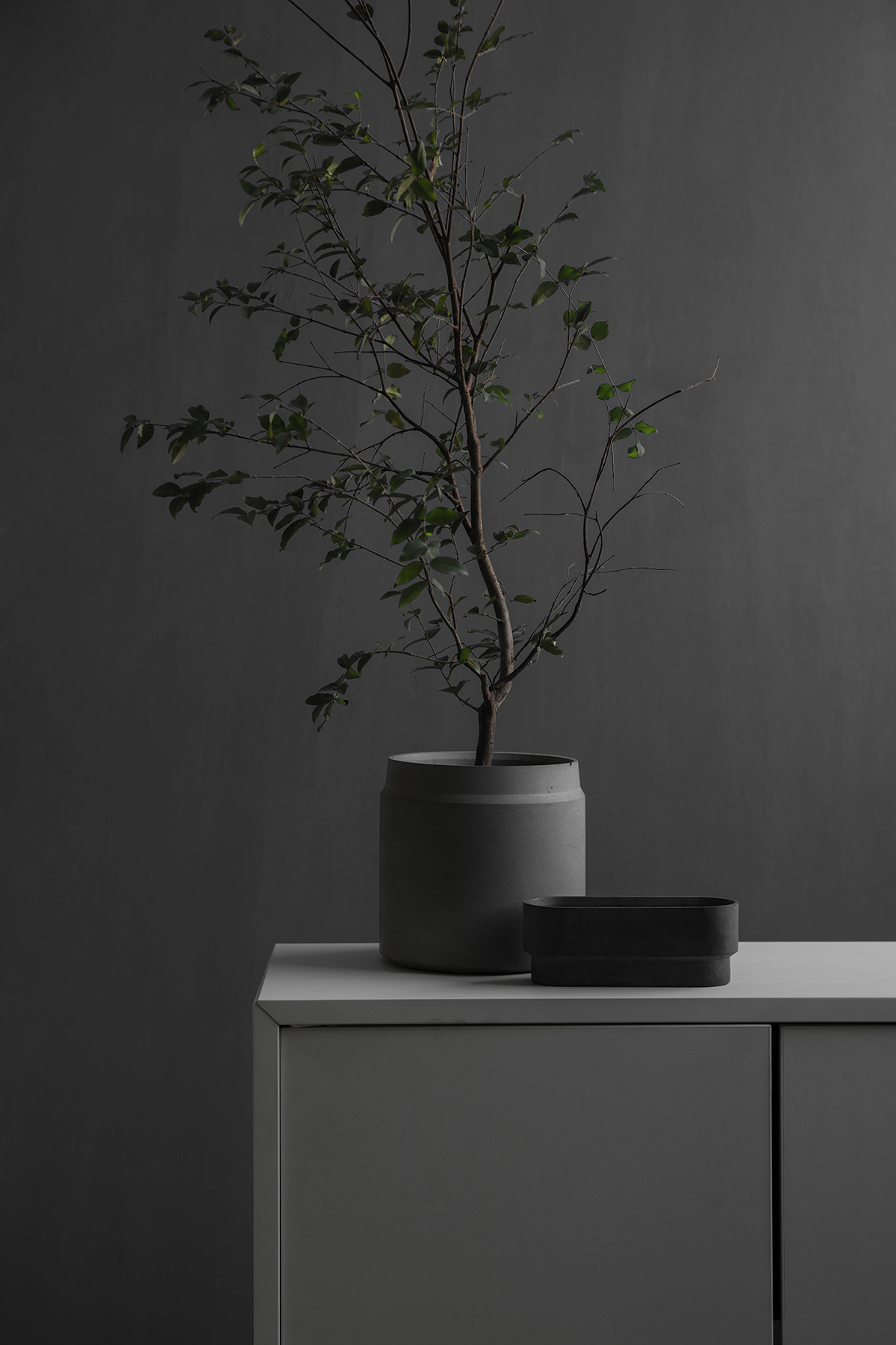 开云（中国） - 附件|花器|办公家具|设计师家具|花钵-圆