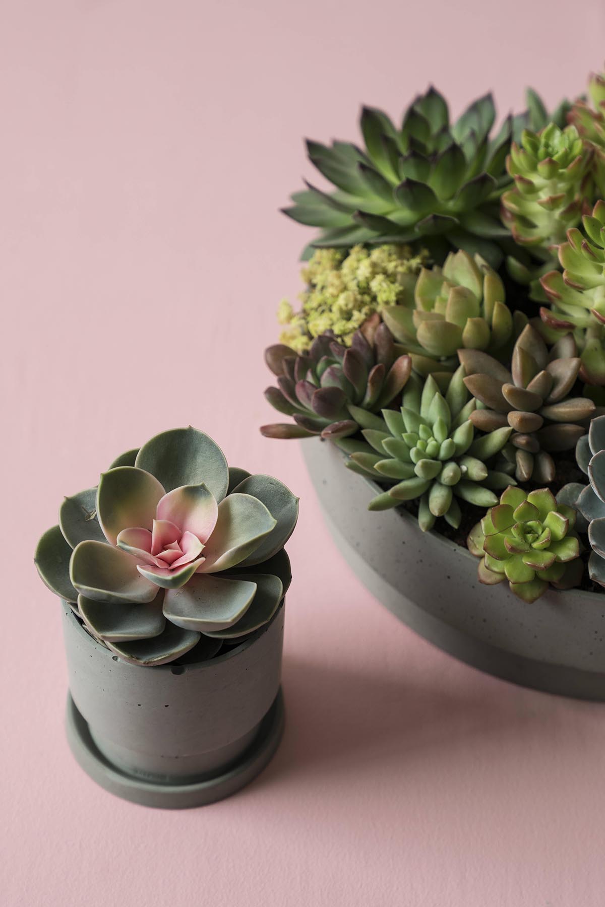 开云（中国） - 附件|花器|办公家具|设计师家具|花钵/蜡烛台-息