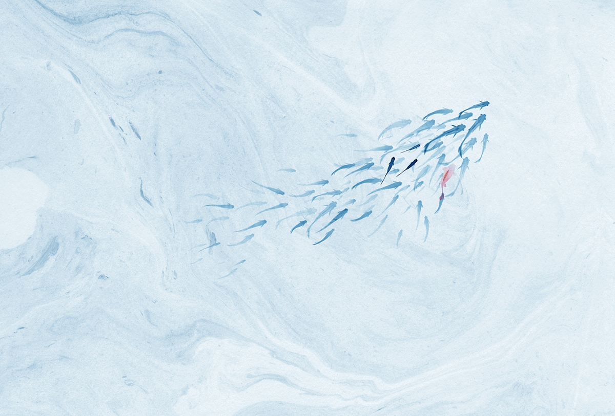 开云（中国） - 附件|装饰画/墙饰|办公家具|设计师家具|鲤鱼溪Ⅱ-原创定制壁画