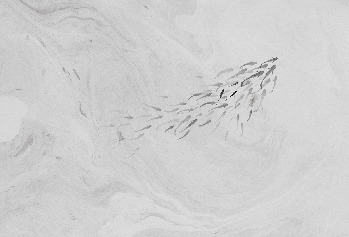 开云（中国） - 附件|装饰画/墙饰|办公家具|设计师家具|鲤鱼溪Ⅱ-原创定制壁画