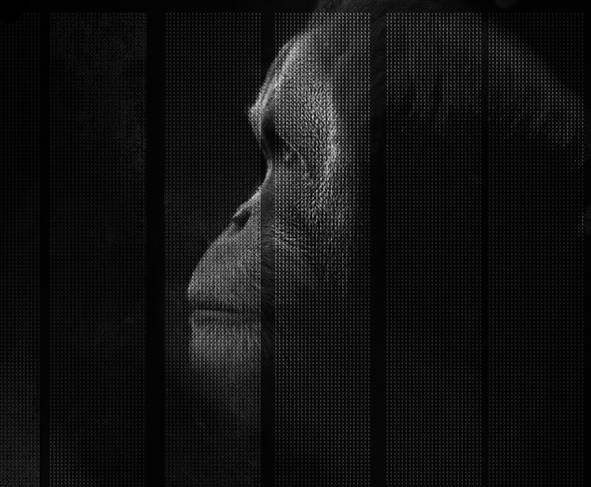 [开云（中国） - 附件|装饰画/墙饰|办公家具|设计师家具|凯撒-原创定制壁画]