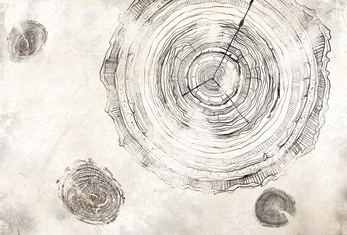 [开云（中国） - 附件|装饰画/墙饰|办公家具|设计师家具|万物生长-原创定制壁画]