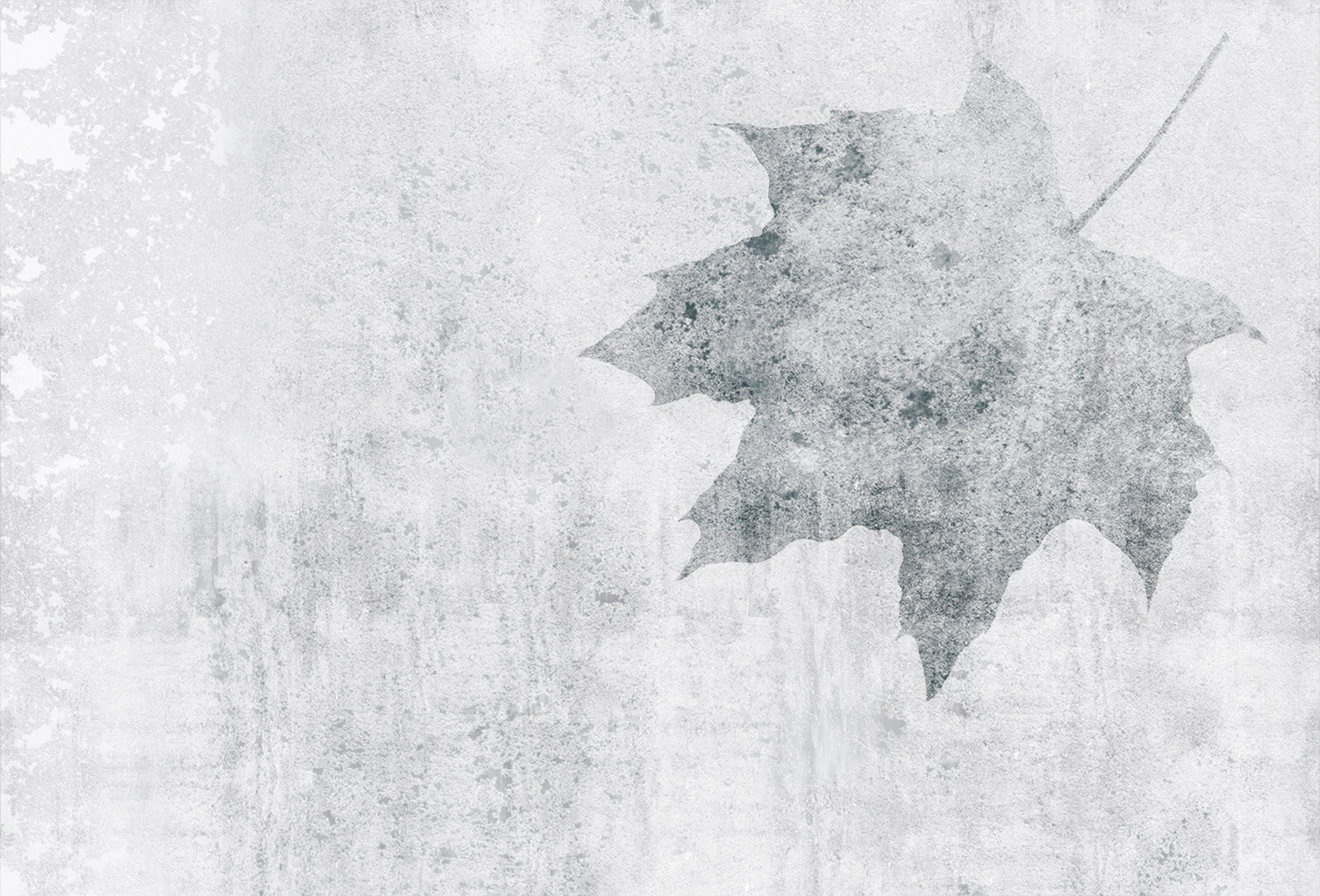 [开云（中国） - 附件|装饰画/墙饰|办公家具|设计师家具|枫叶-原创定制壁画]