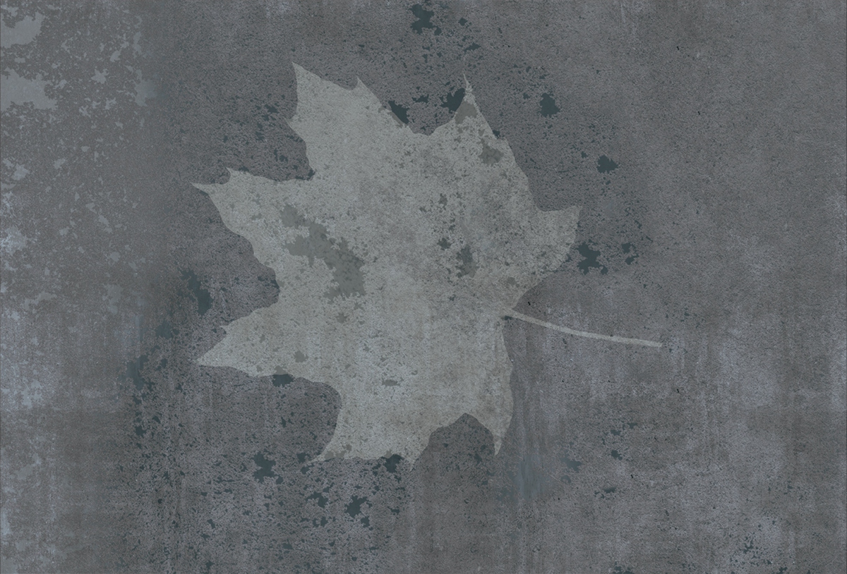 开云（中国） - 附件|装饰画/墙饰|办公家具|设计师家具|枫叶-原创定制壁画