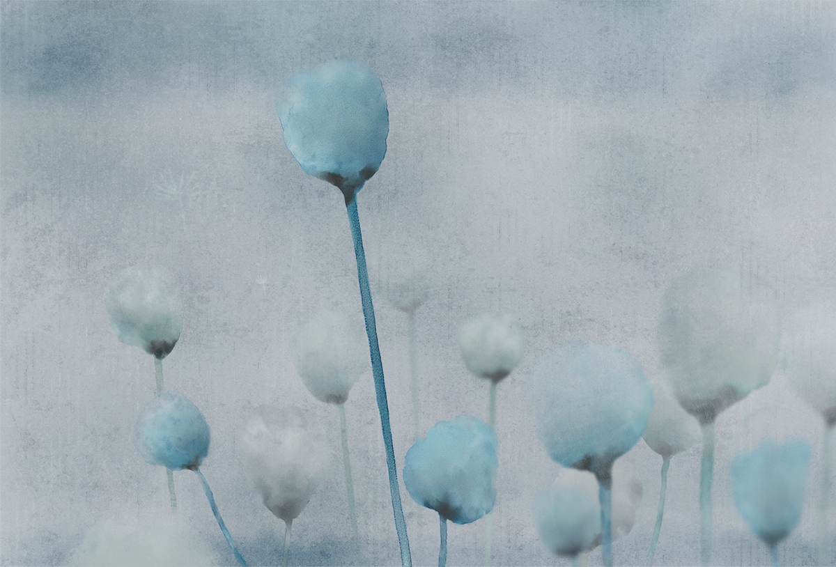 [开云（中国） - 附件|装饰画/墙饰|办公家具|设计师家具|罂粟-原创定制壁画]