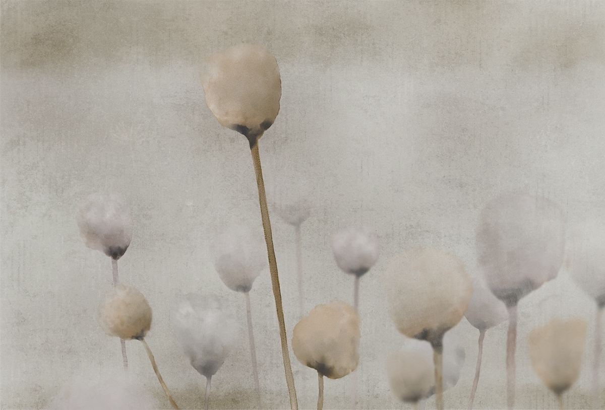 开云（中国） - 附件|装饰画/墙饰|办公家具|设计师家具|罂粟-原创定制壁画