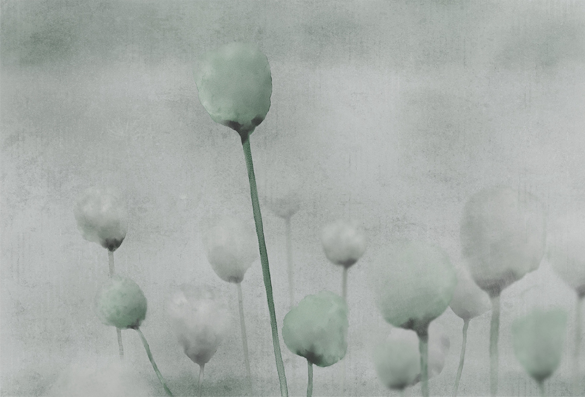 开云（中国） - 附件|装饰画/墙饰|办公家具|设计师家具|罂粟-原创定制壁画