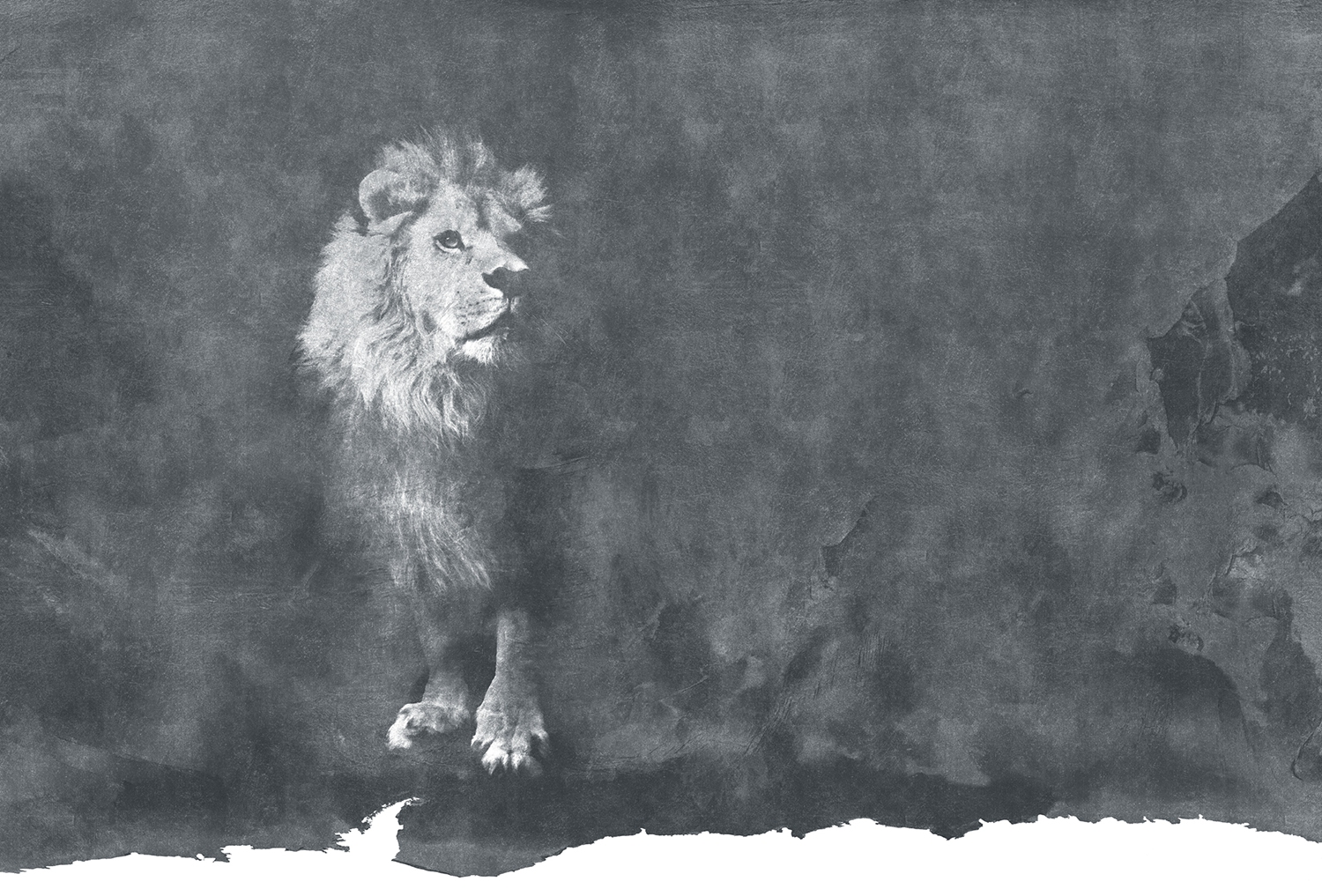 开云（中国） - 附件|装饰画/墙饰|办公家具|设计师家具|狮子-原创定制壁画