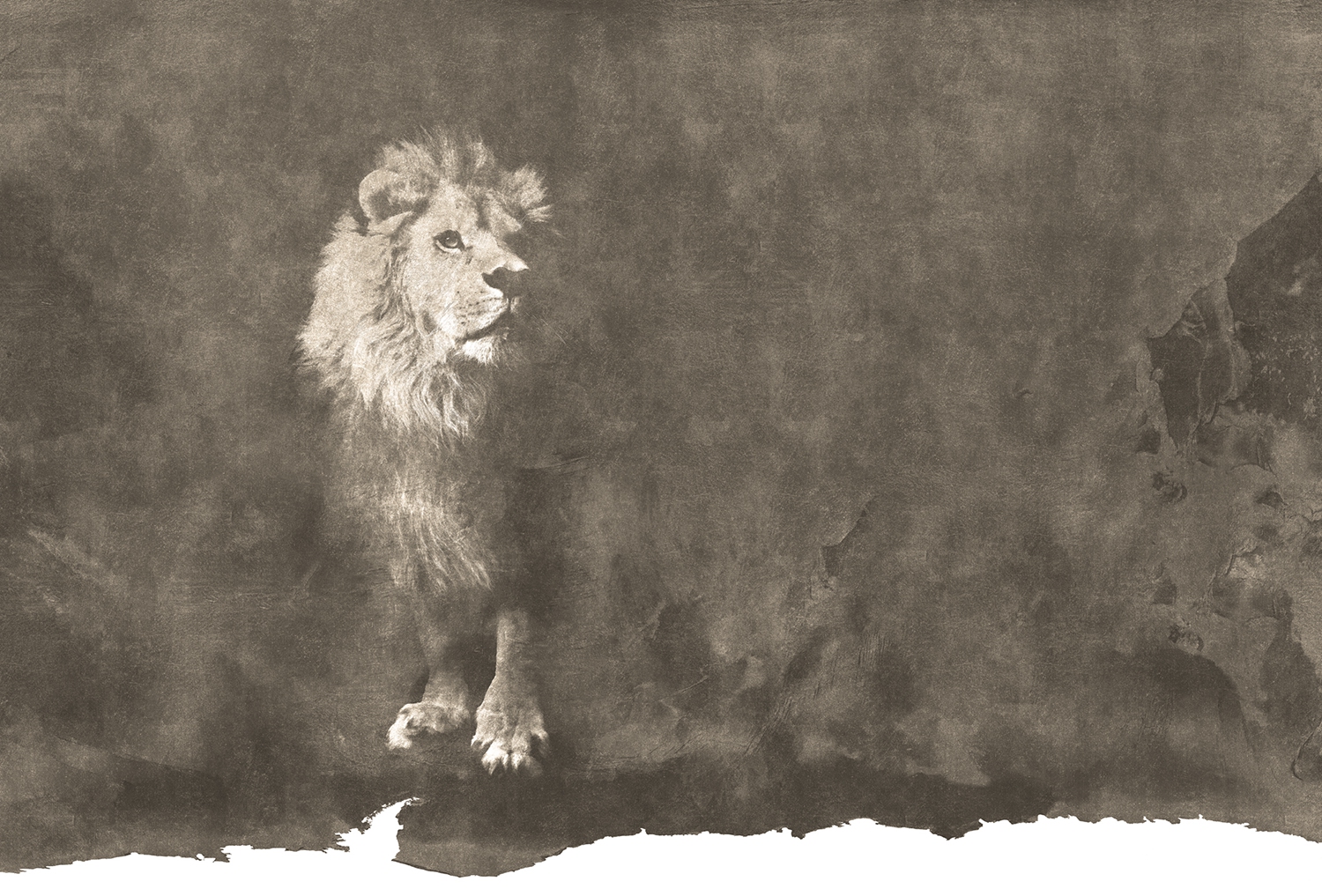 开云（中国） - 附件|装饰画/墙饰|办公家具|设计师家具|狮子-原创定制壁画