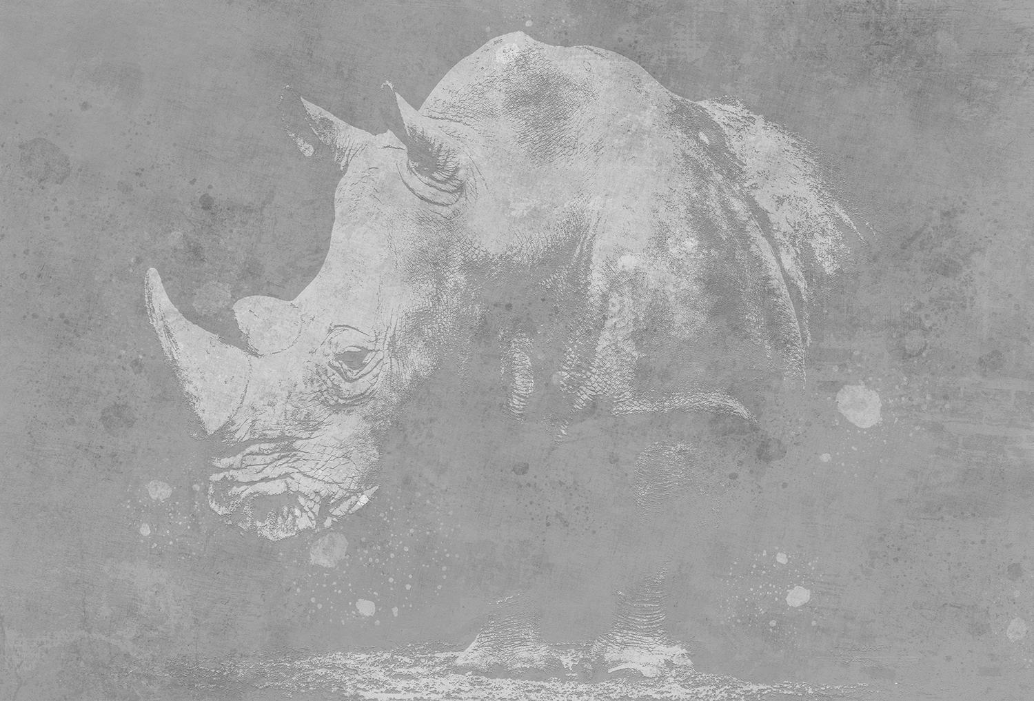 [开云（中国） - 附件|装饰画/墙饰|办公家具|设计师家具|犀牛-原创定制壁画]