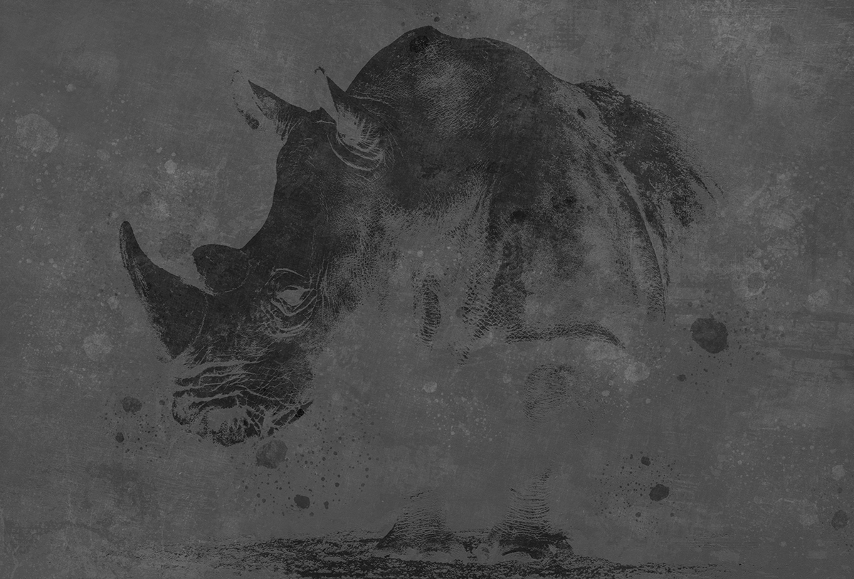 开云（中国） - 附件|装饰画/墙饰|办公家具|设计师家具|犀牛-原创定制壁画