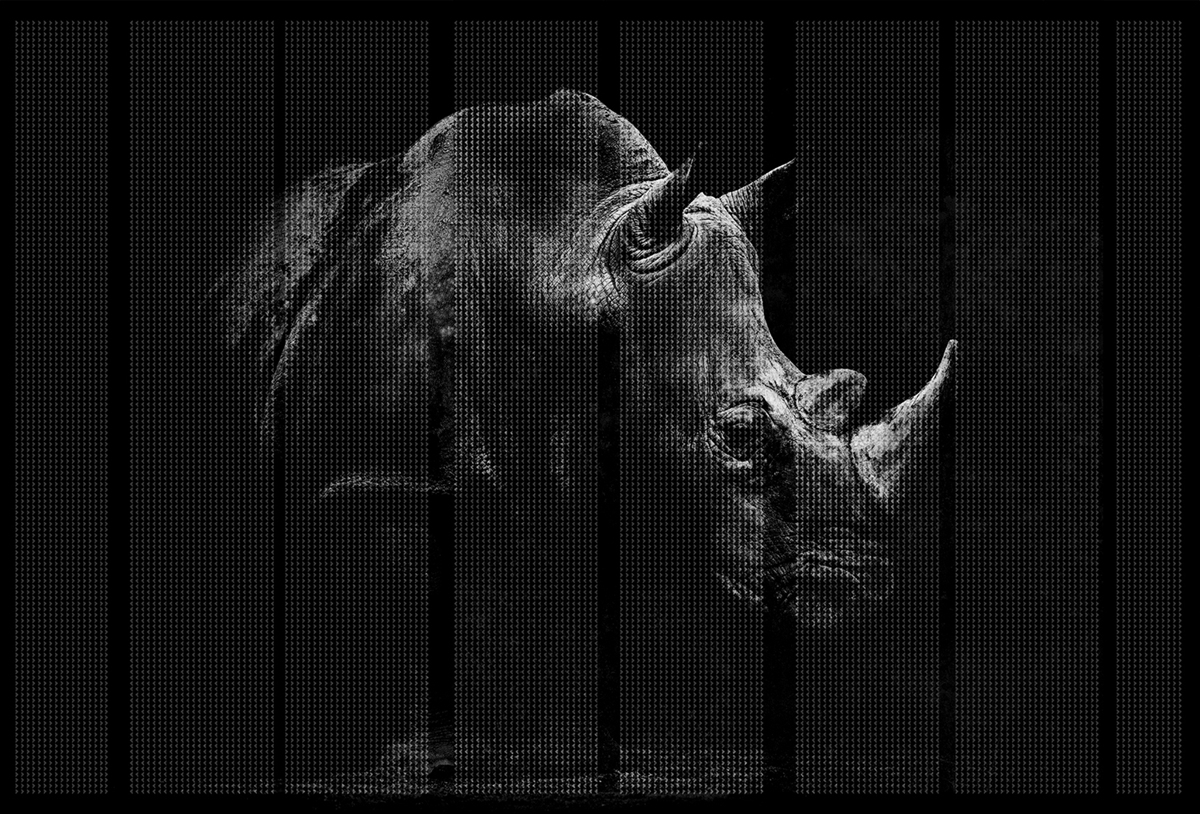 开云（中国） - 附件|装饰画/墙饰|办公家具|设计师家具|非洲-原创定制壁画