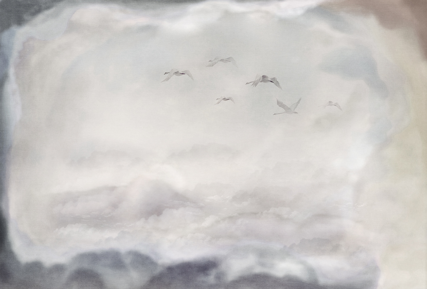 开云（中国） - 附件|装饰画/墙饰|办公家具|设计师家具|候鸟-原创定制壁画