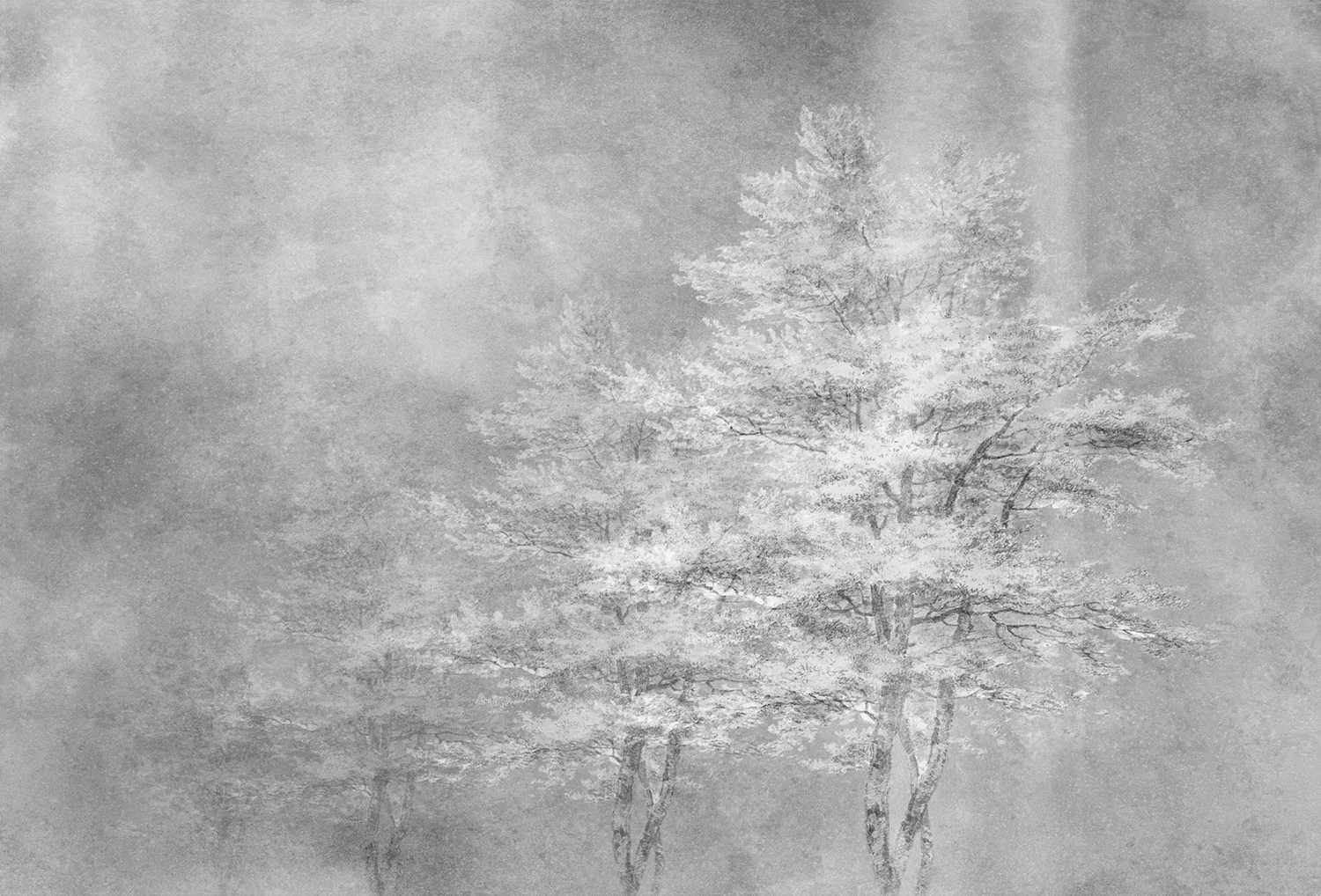 [开云（中国） - 附件|装饰画/墙饰|办公家具|设计师家具|雾凇-原创定制壁画]