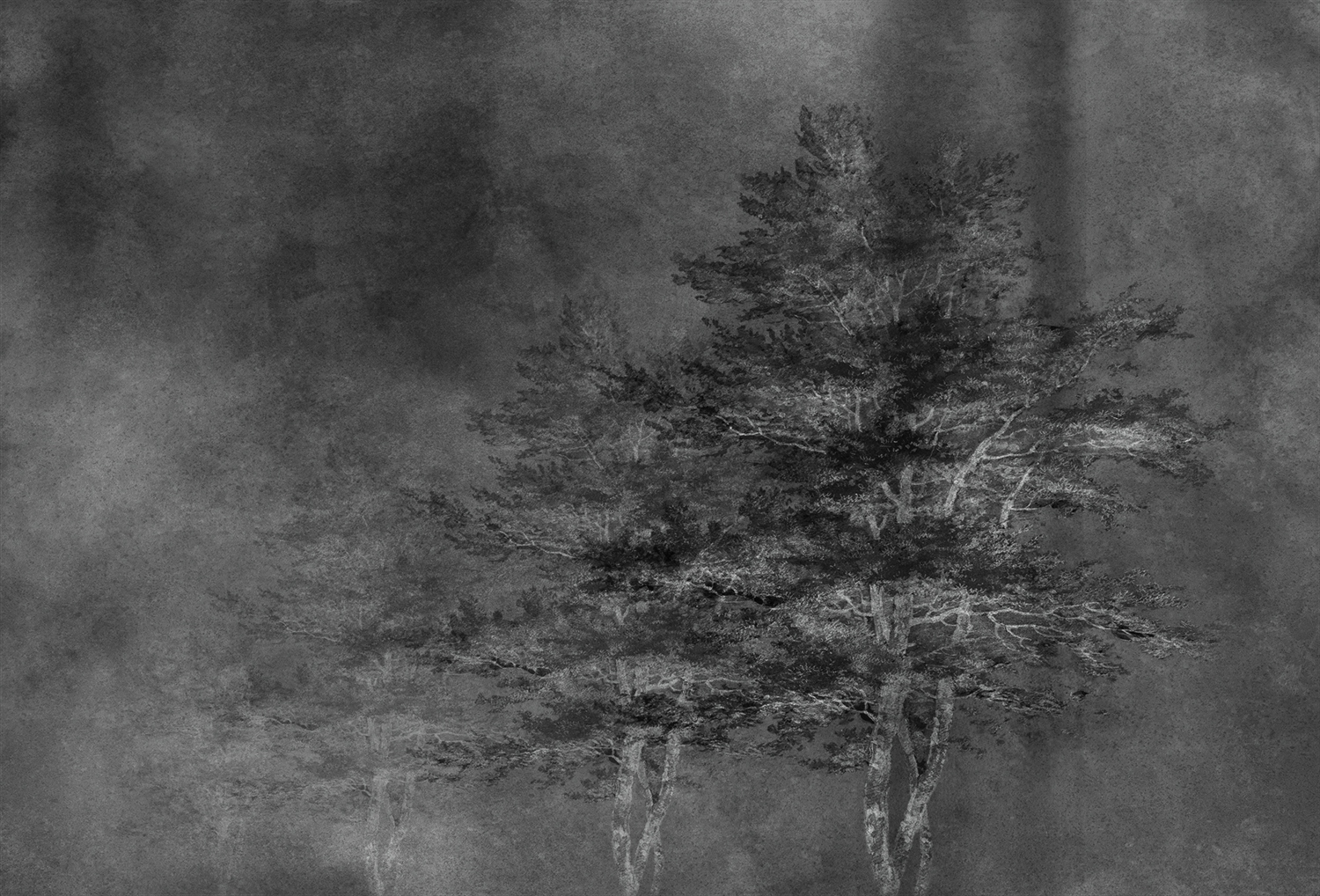 开云（中国） - 附件|装饰画/墙饰|办公家具|设计师家具|雾凇-原创定制壁画