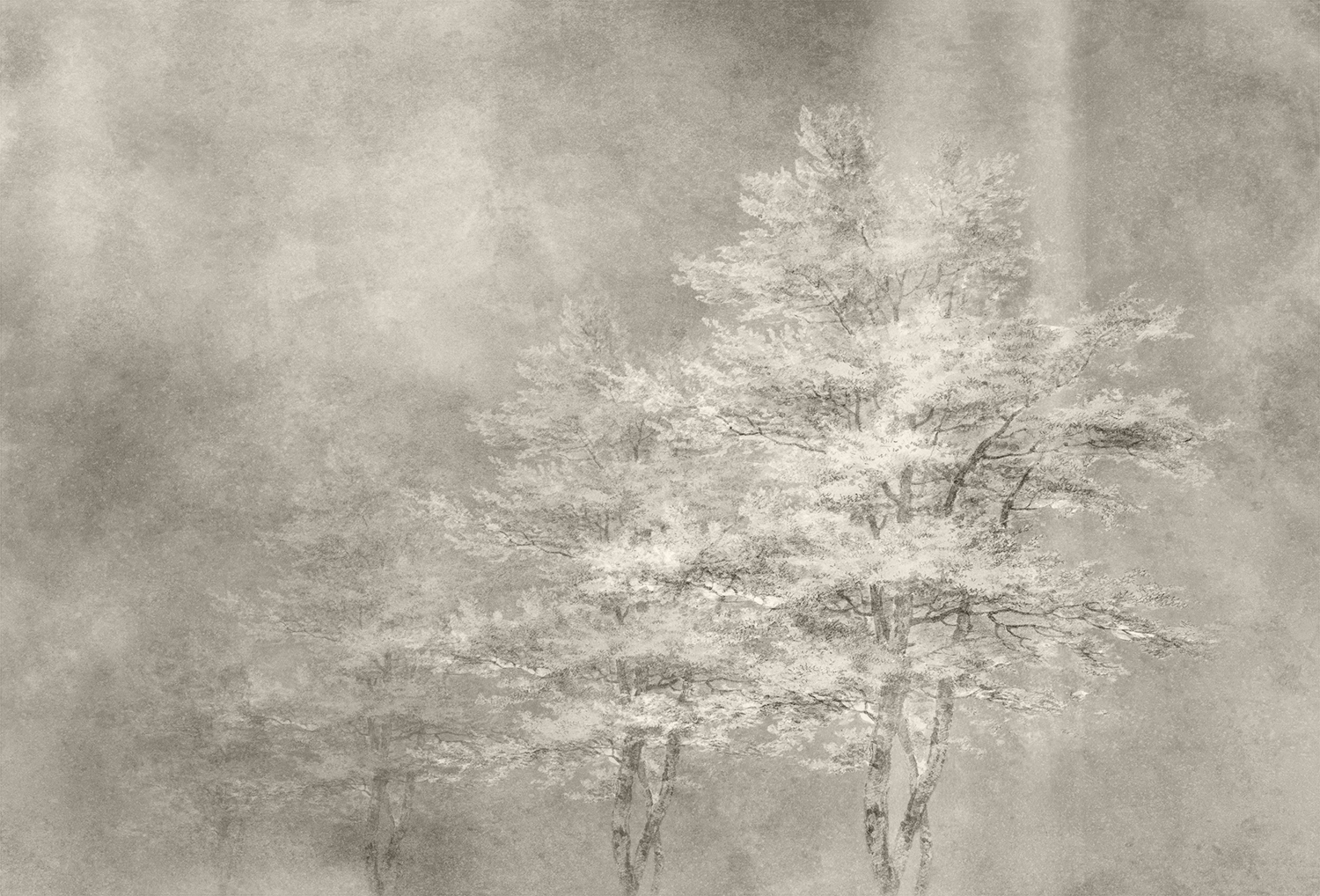 开云（中国） - 附件|装饰画/墙饰|办公家具|设计师家具|雾凇-原创定制壁画