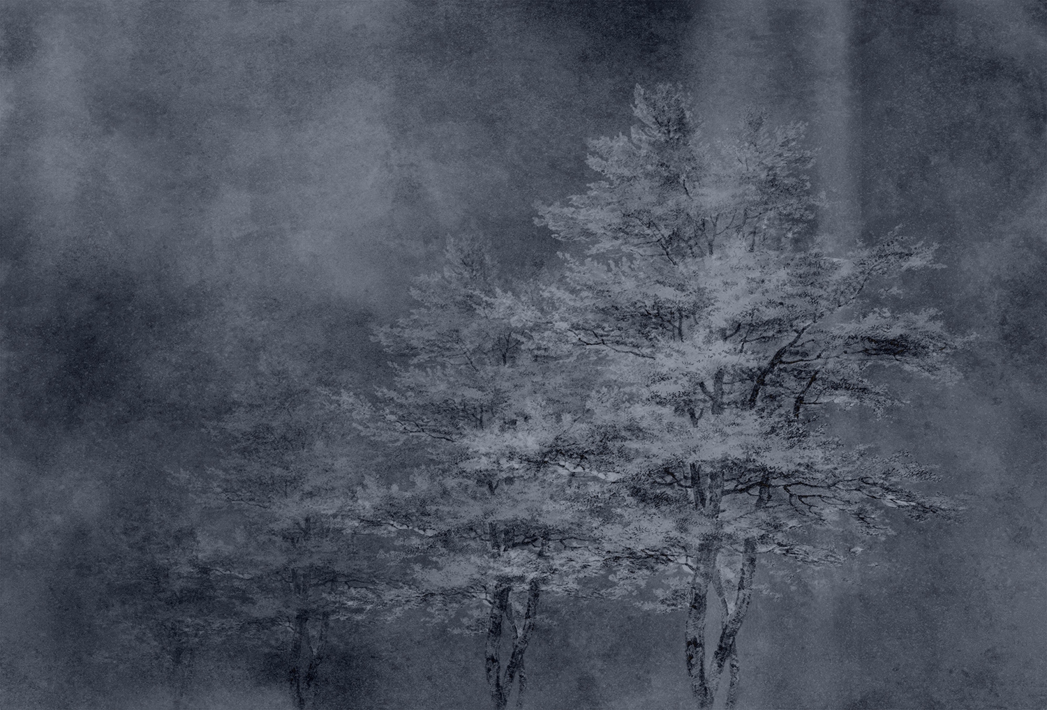 开云（中国） - 附件|装饰画/墙饰|办公家具|设计师家具|雾凇-原创定制壁画