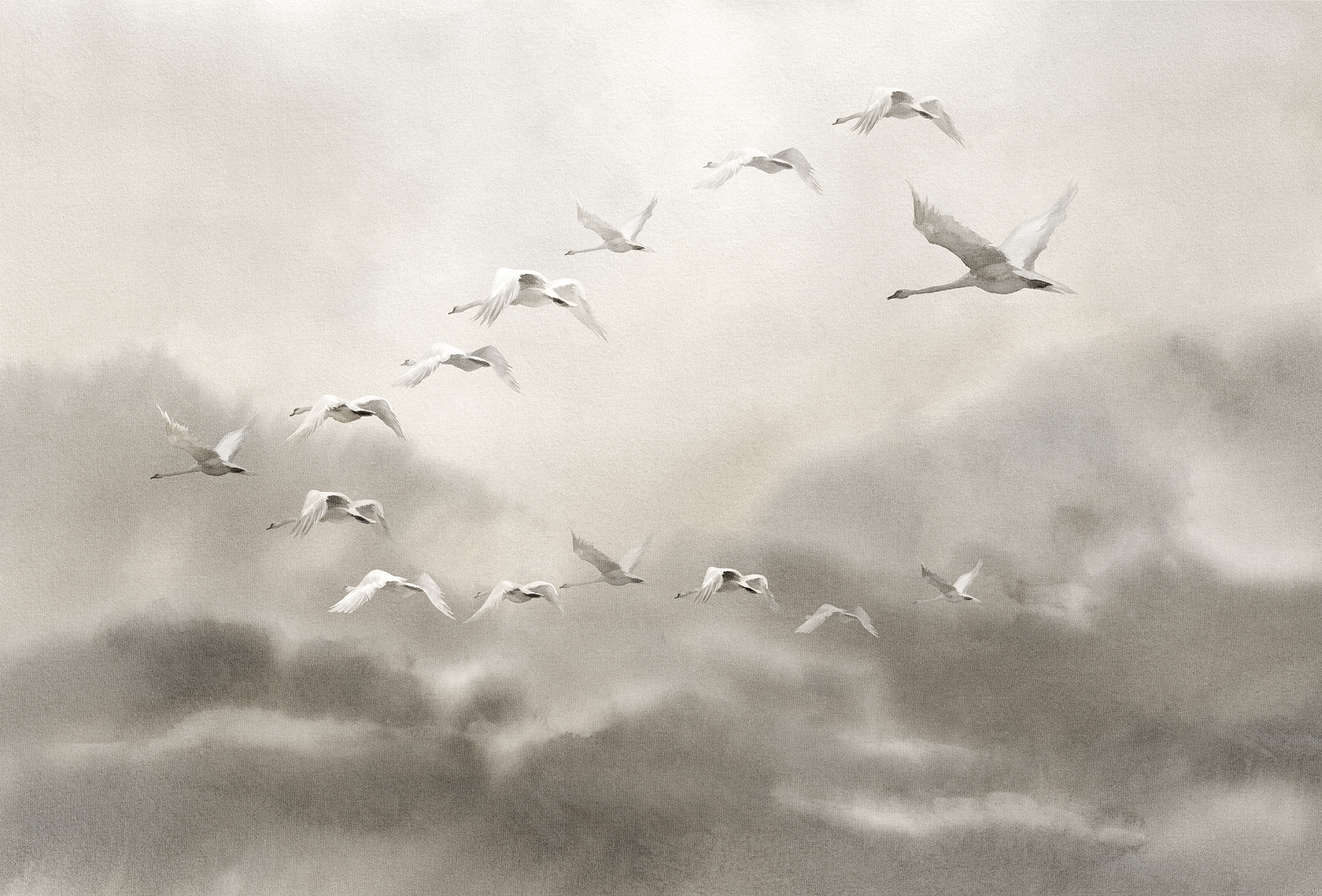 开云（中国） - 附件|装饰画/墙饰|办公家具|设计师家具|候鸟Ⅱ-原创定制壁画